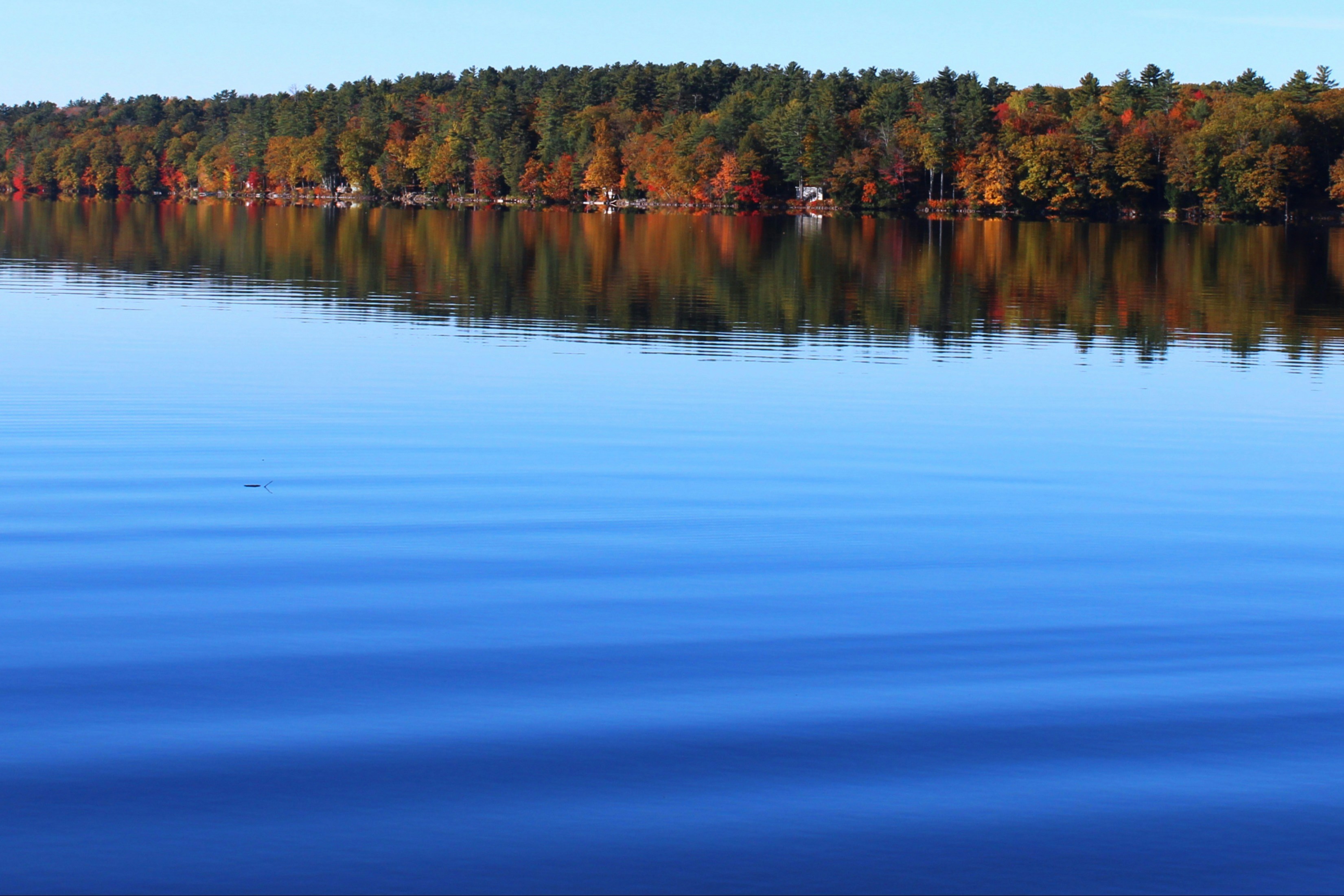 Photo by sbmcphotography