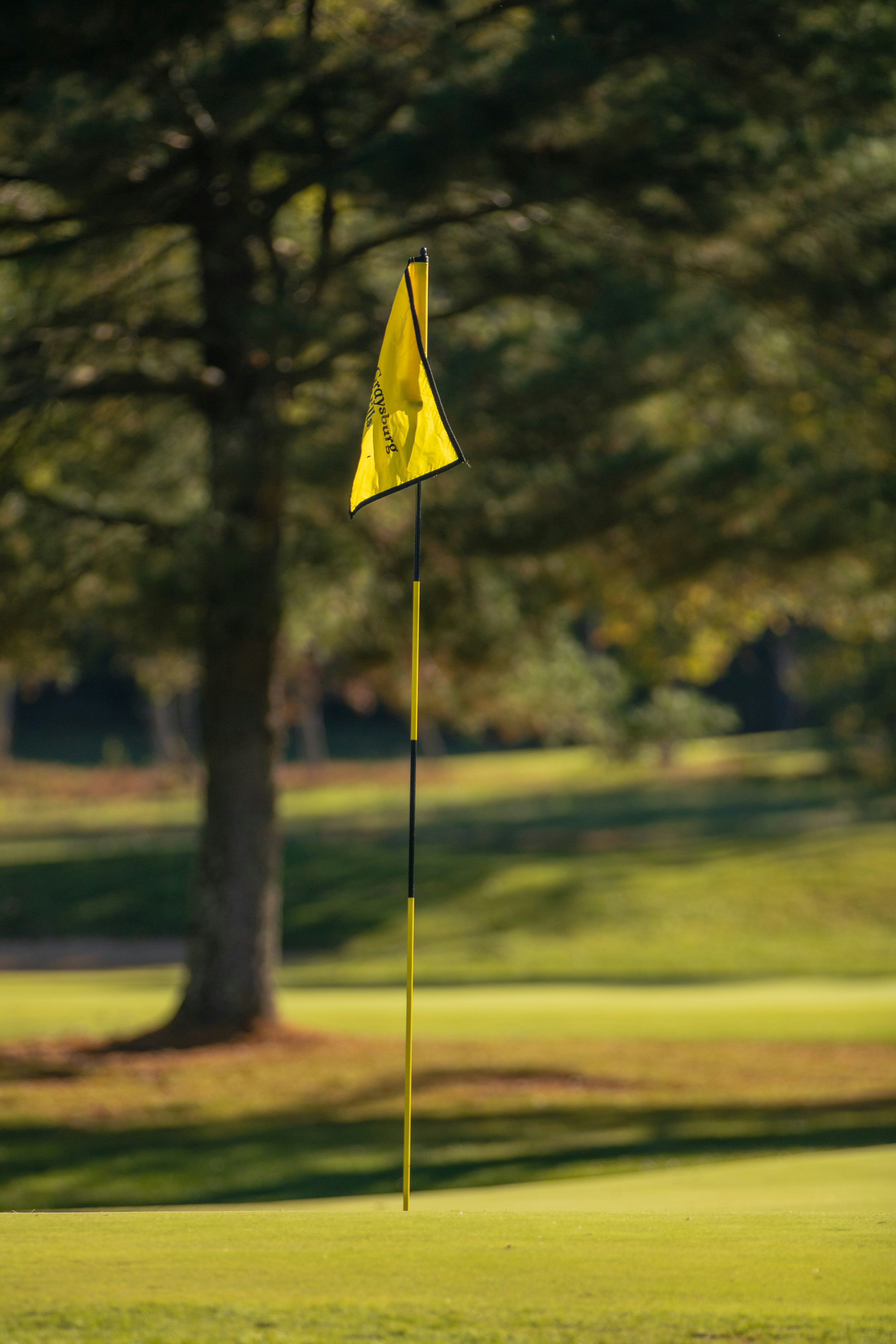 A yellow golf flag on a green course