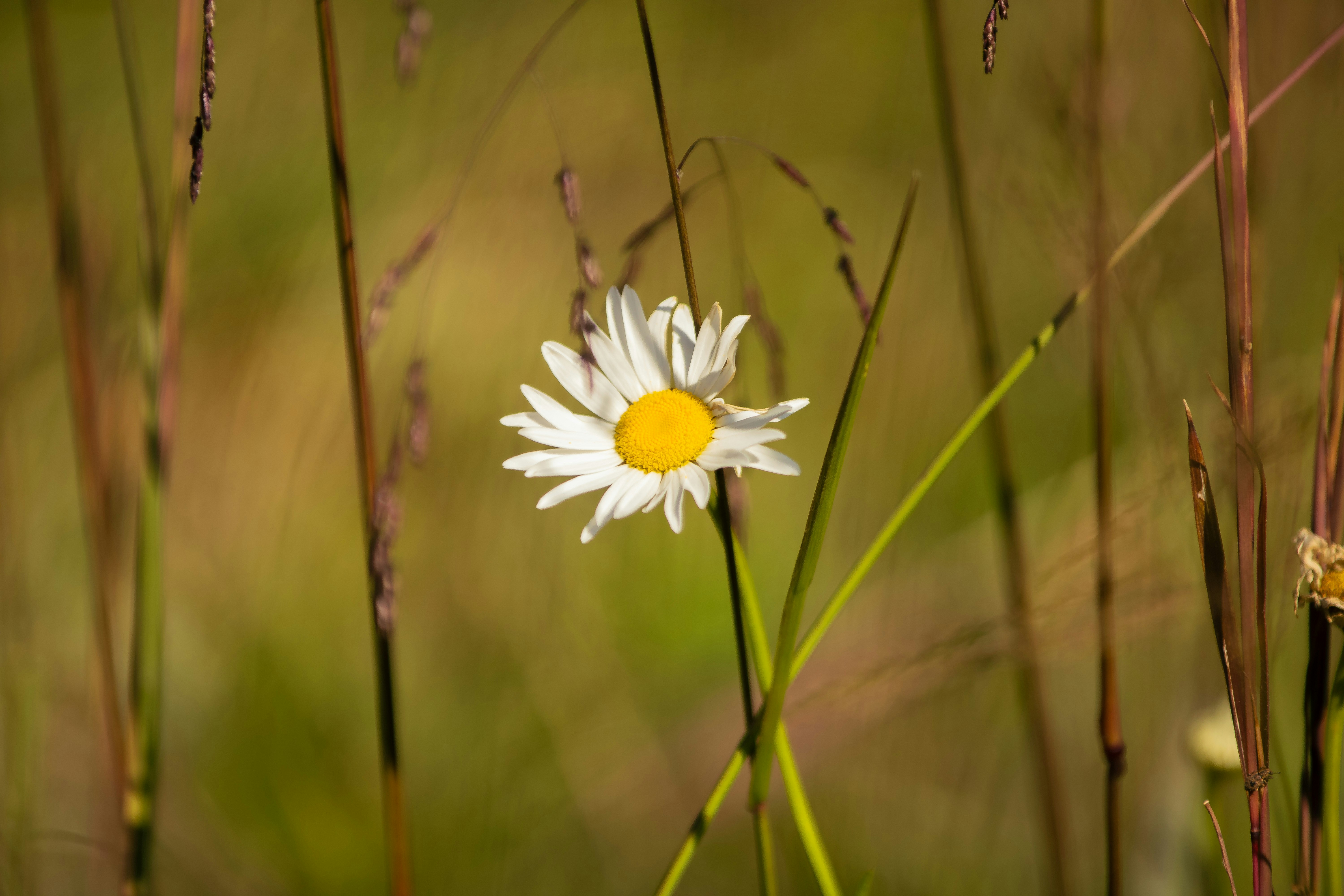 Photo by karihamphotography