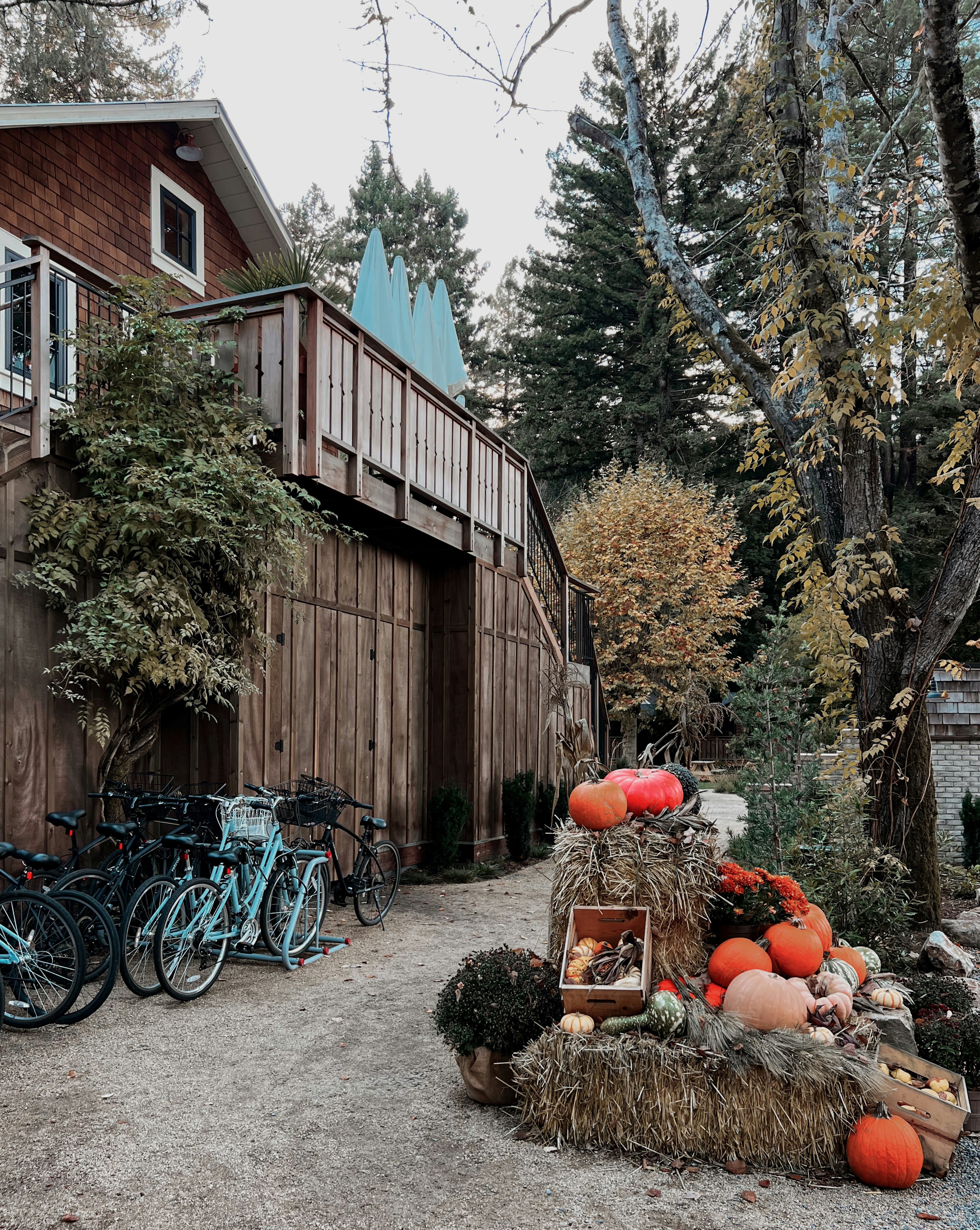 Rustic building with pumpkins and bicycles outside