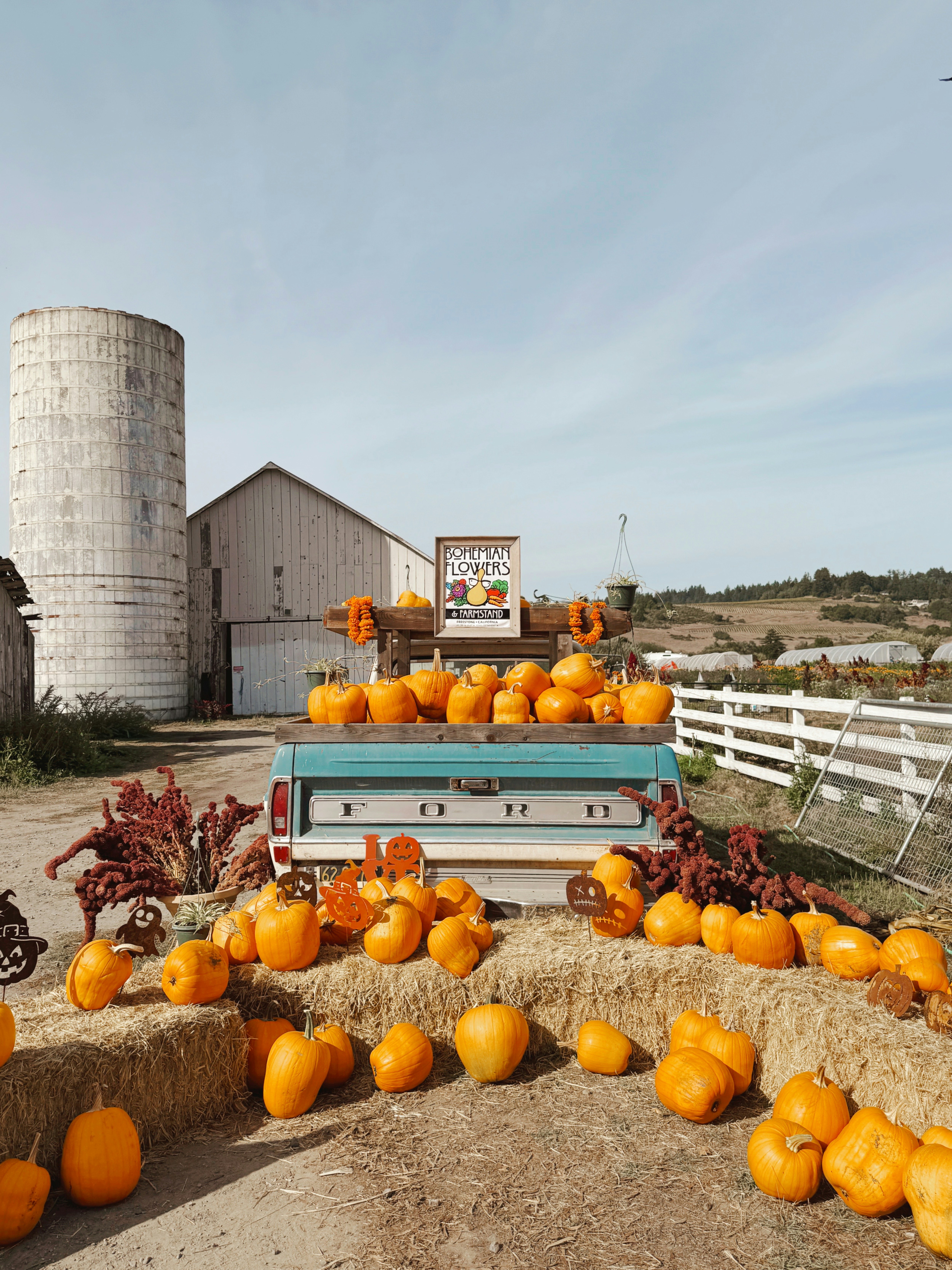 Pumpkins displayed on a truck at a farm