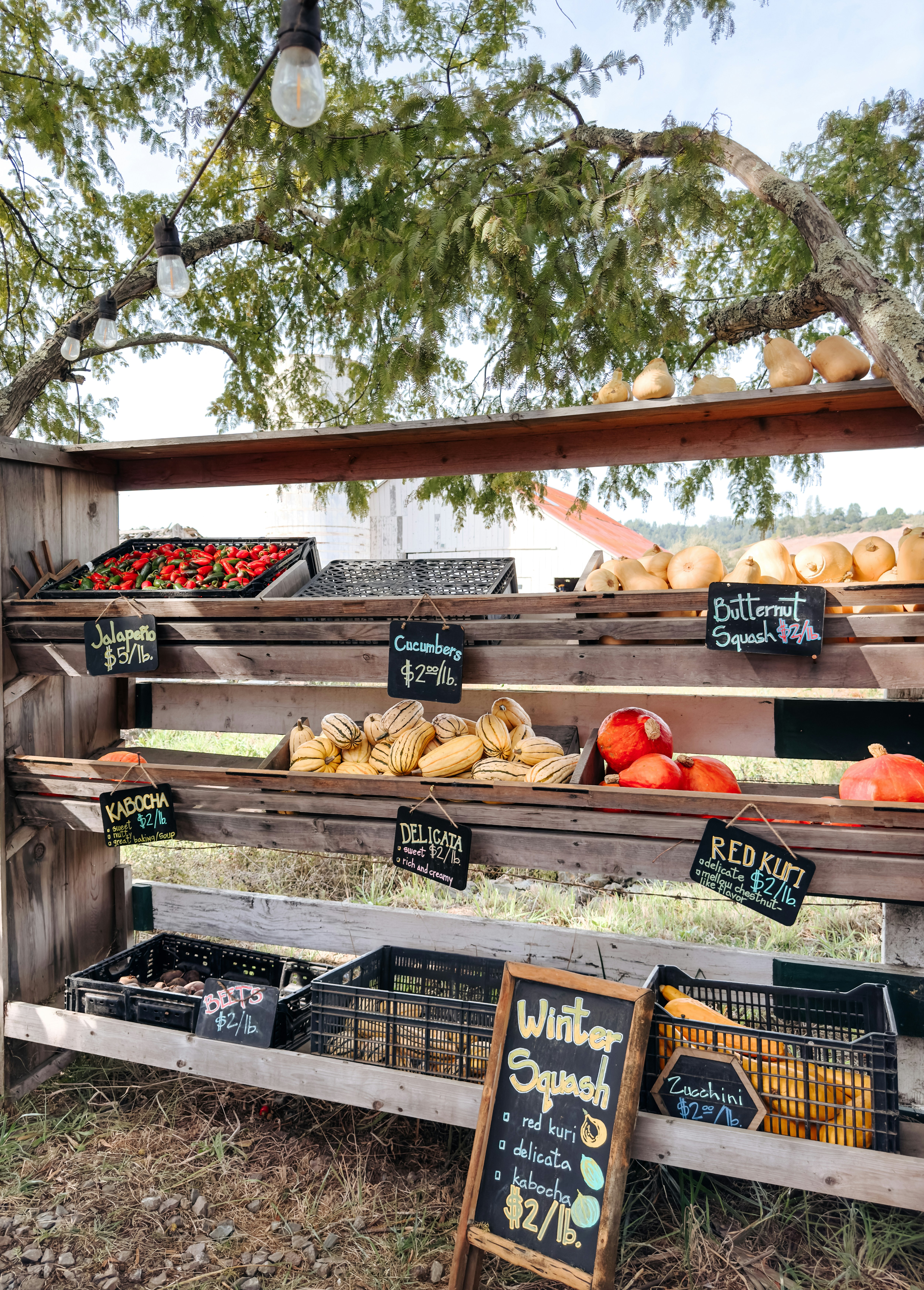 Fresh produce displayed on a rustic wooden stand.