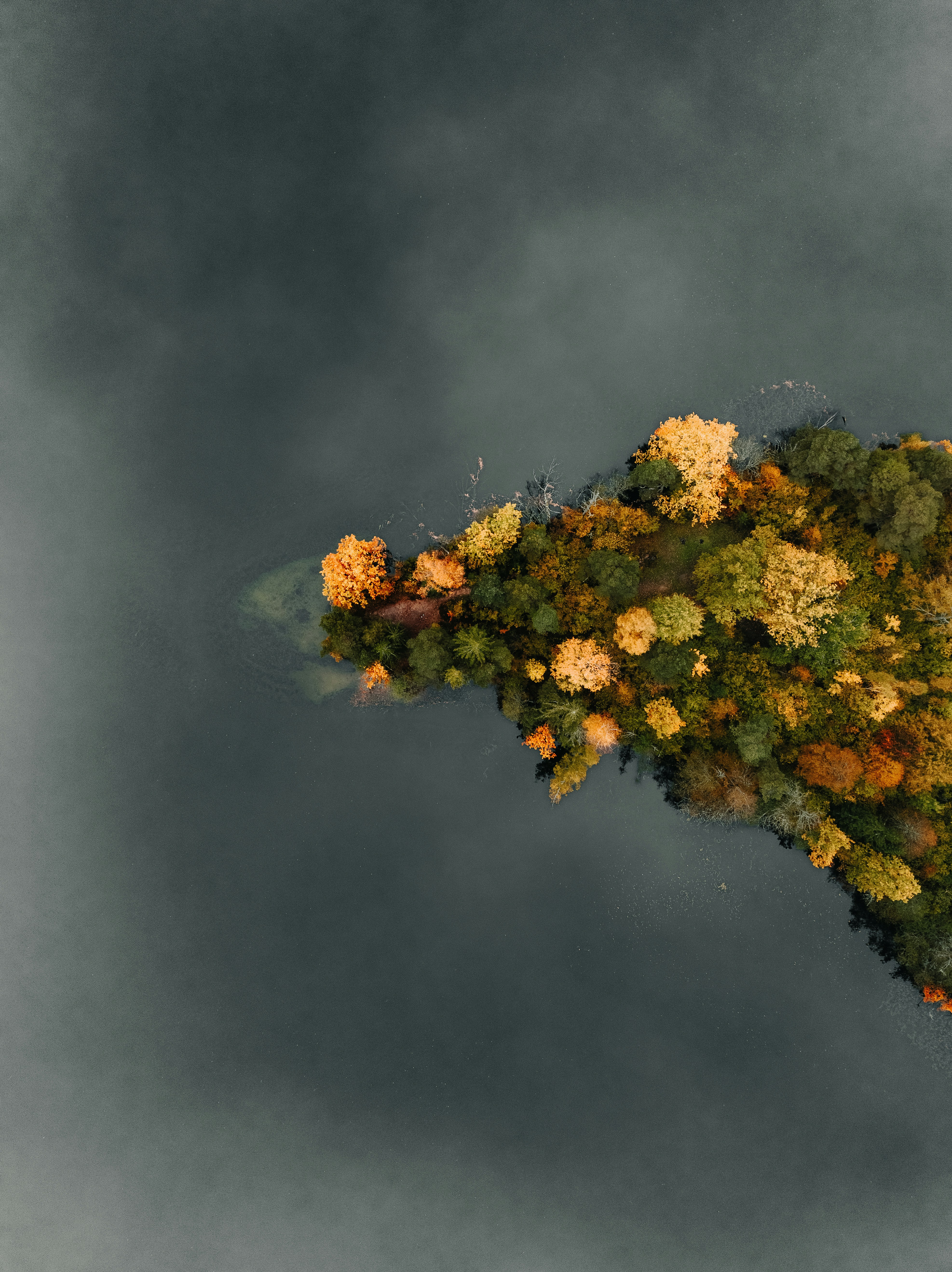 Photo by kristapsungurs