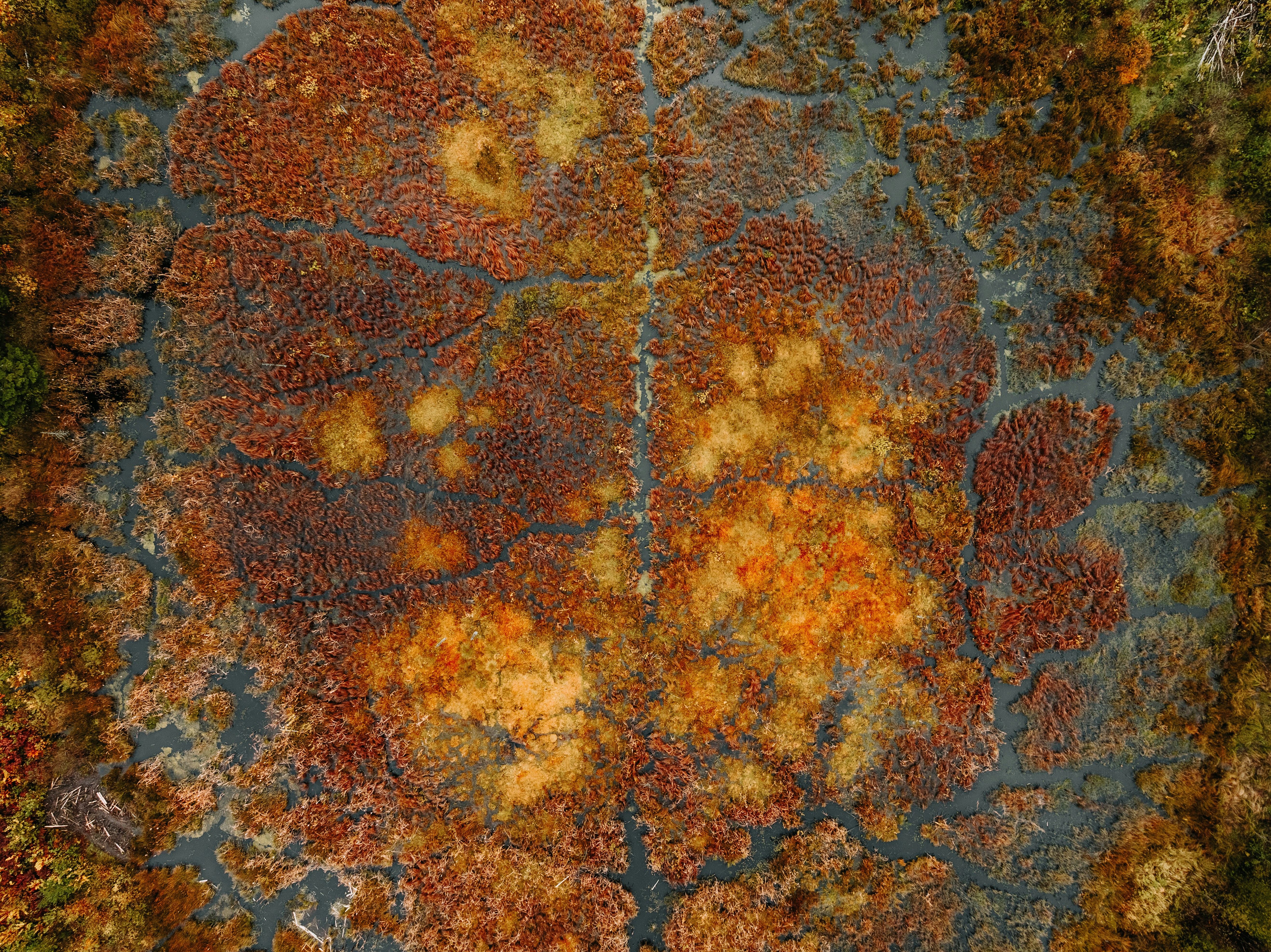 Acknowledge The Crucial Indications Of Stomach Hernia Pain And The Fundamental Therapy Solutions