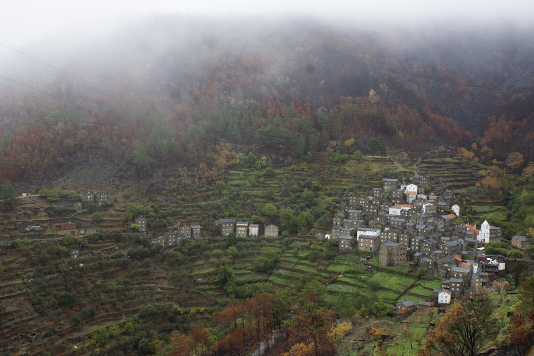 A misty mountain village with terraced fields.
