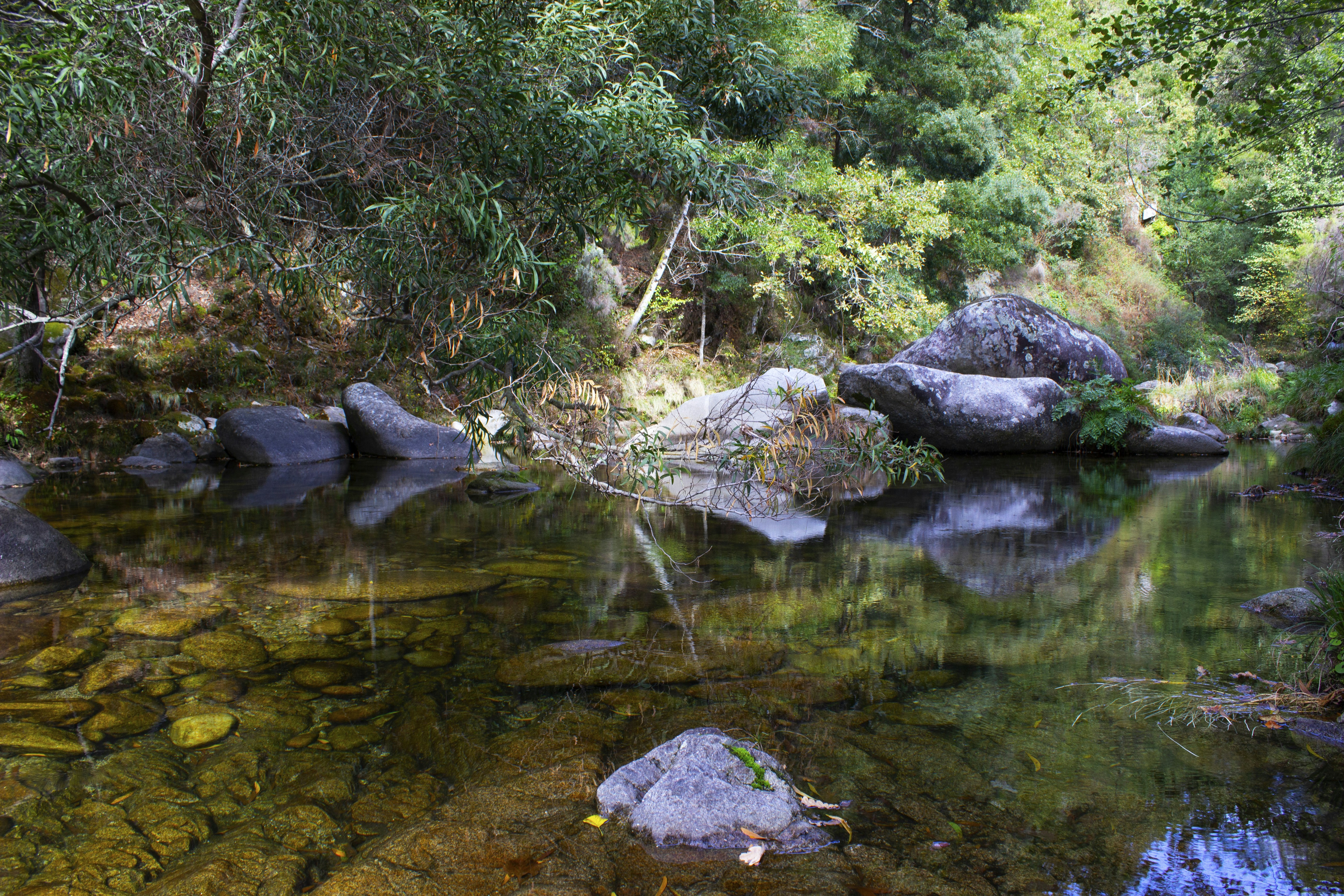 Photo by happy_sad_repeat