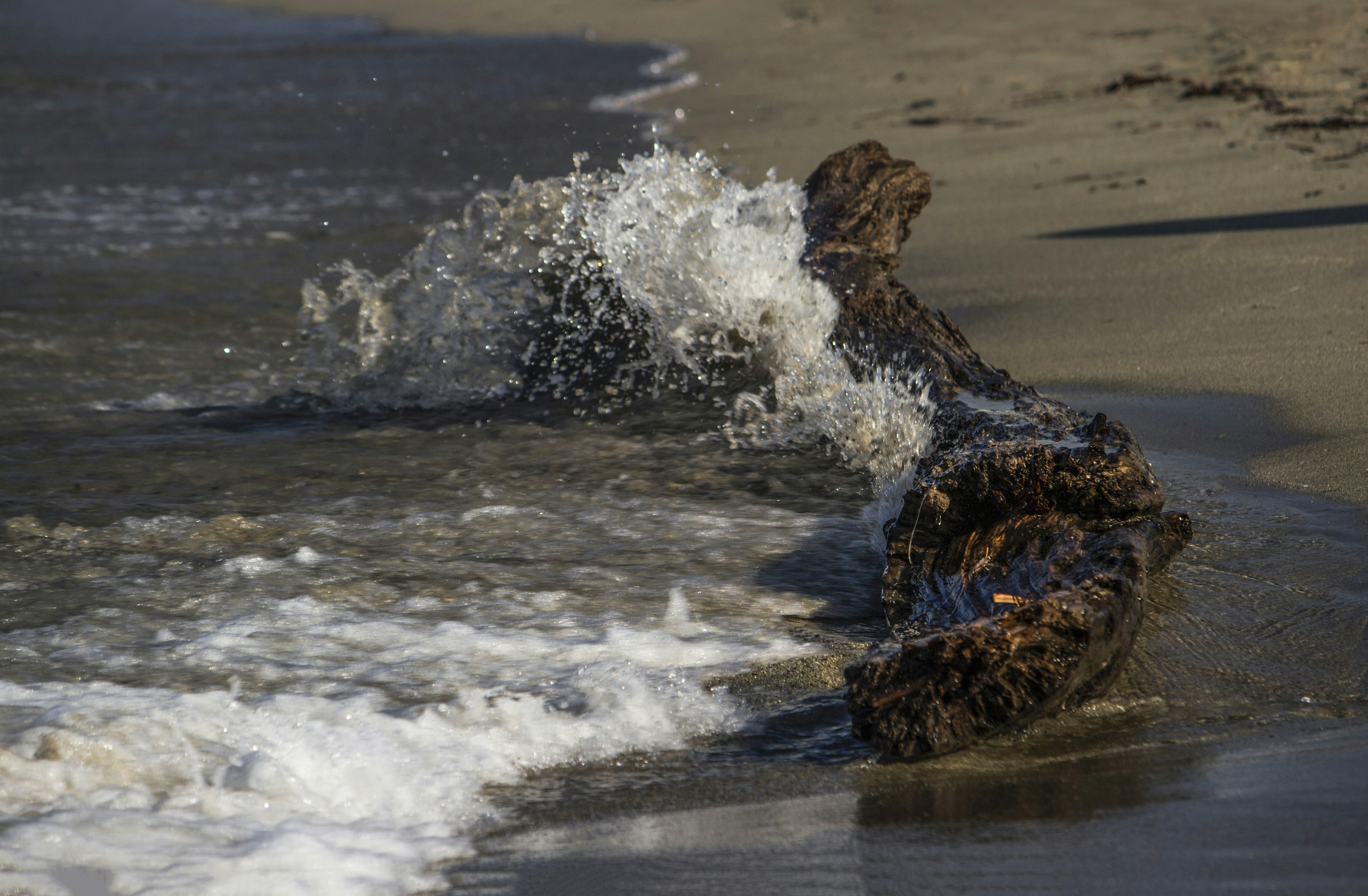 Photo by miloslopusina