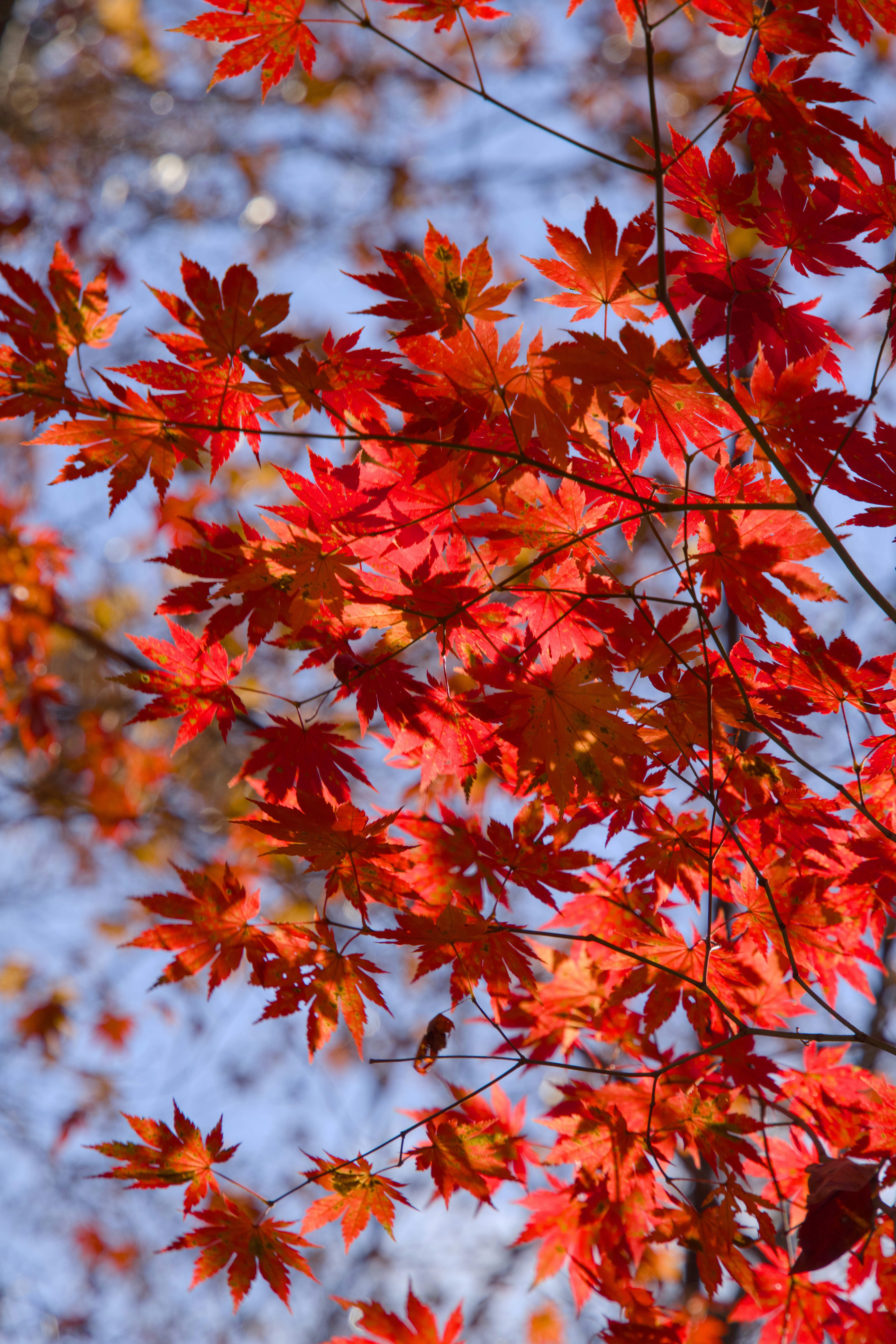 Photo by hattrick1996