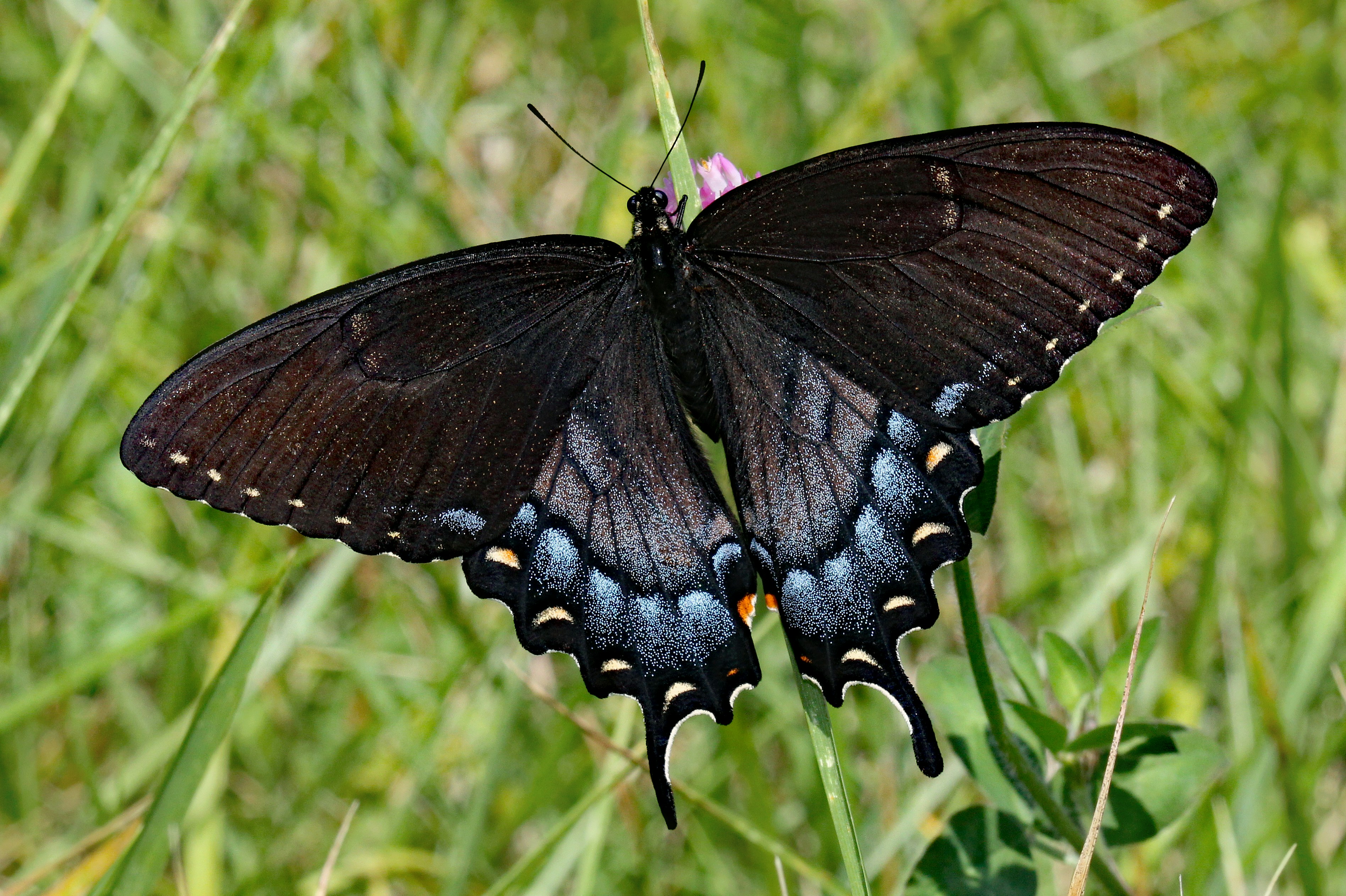 Photo by telliottmbamsc