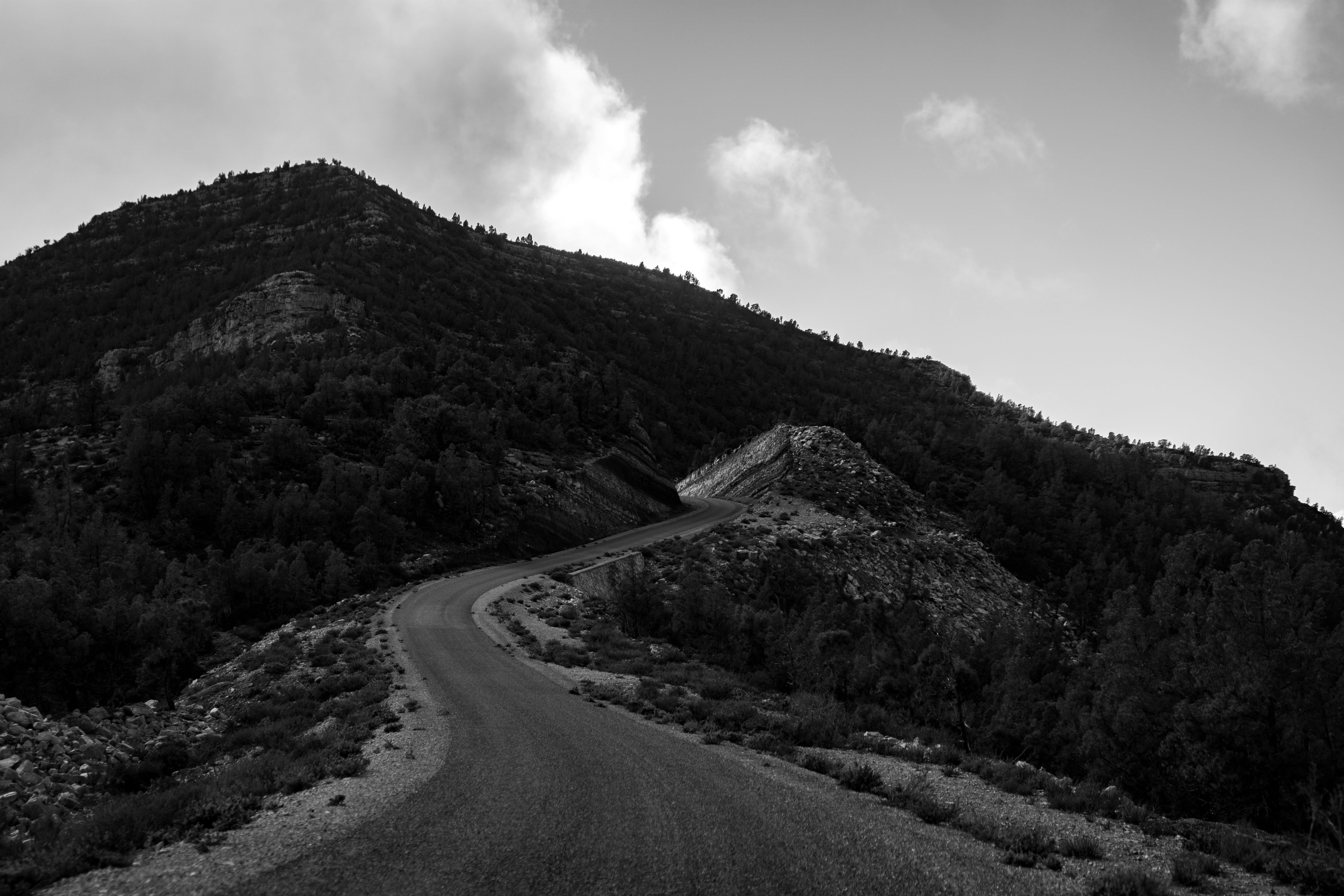 Photo by garrettsschmid