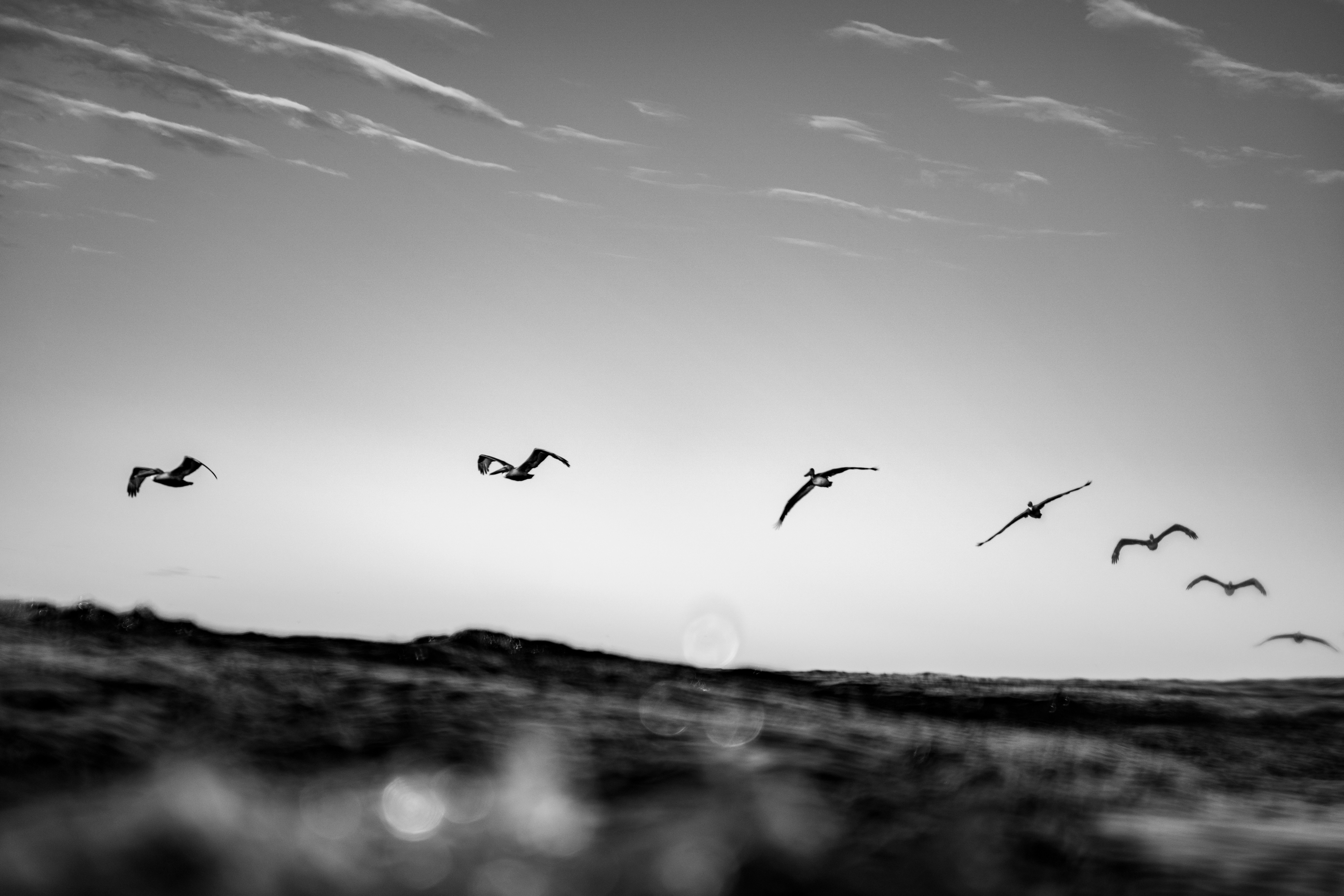 Photo by garrettsschmid