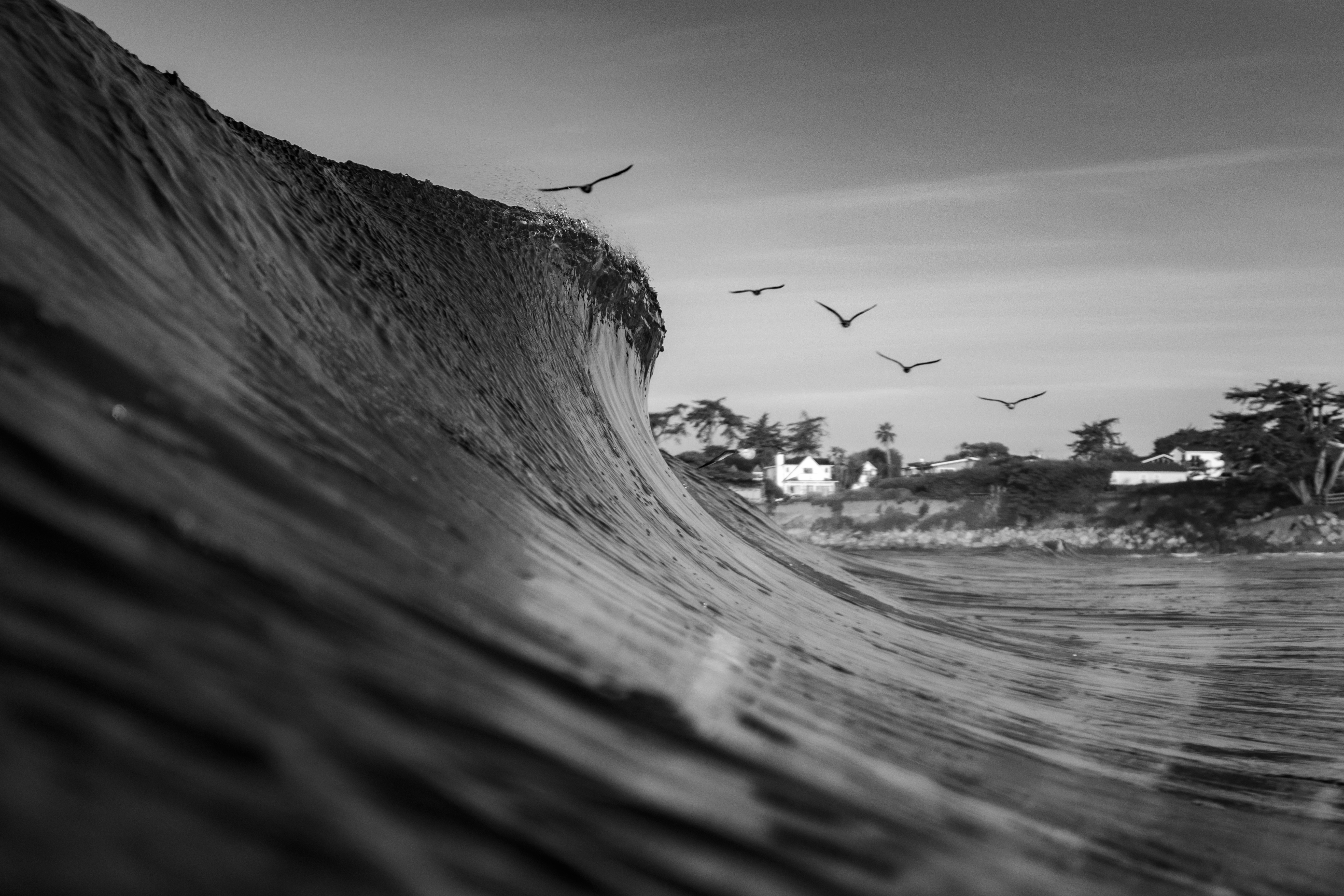 Photo by garrettsschmid