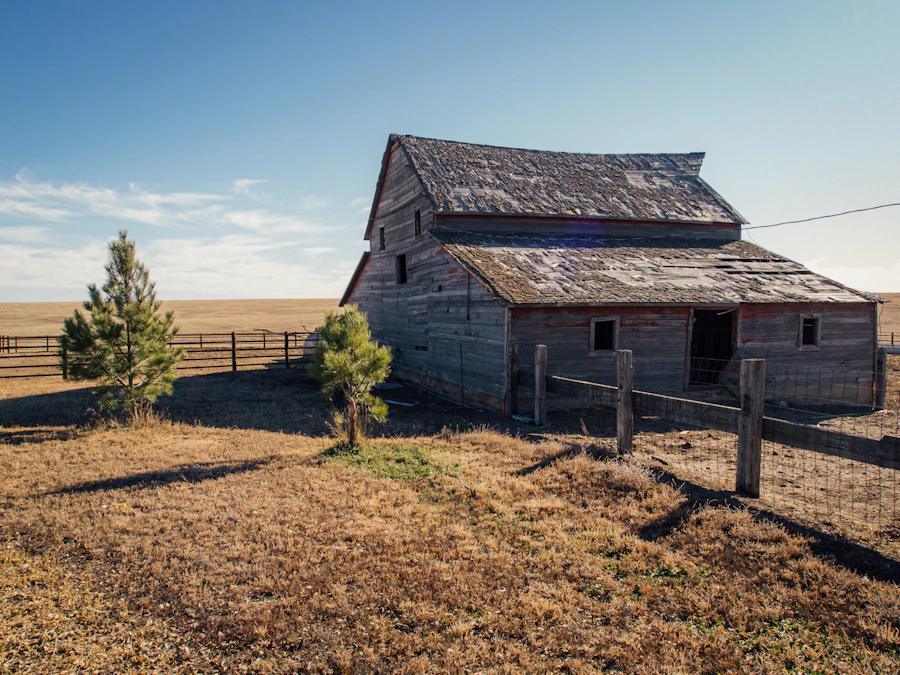Weathered barn in a dry field