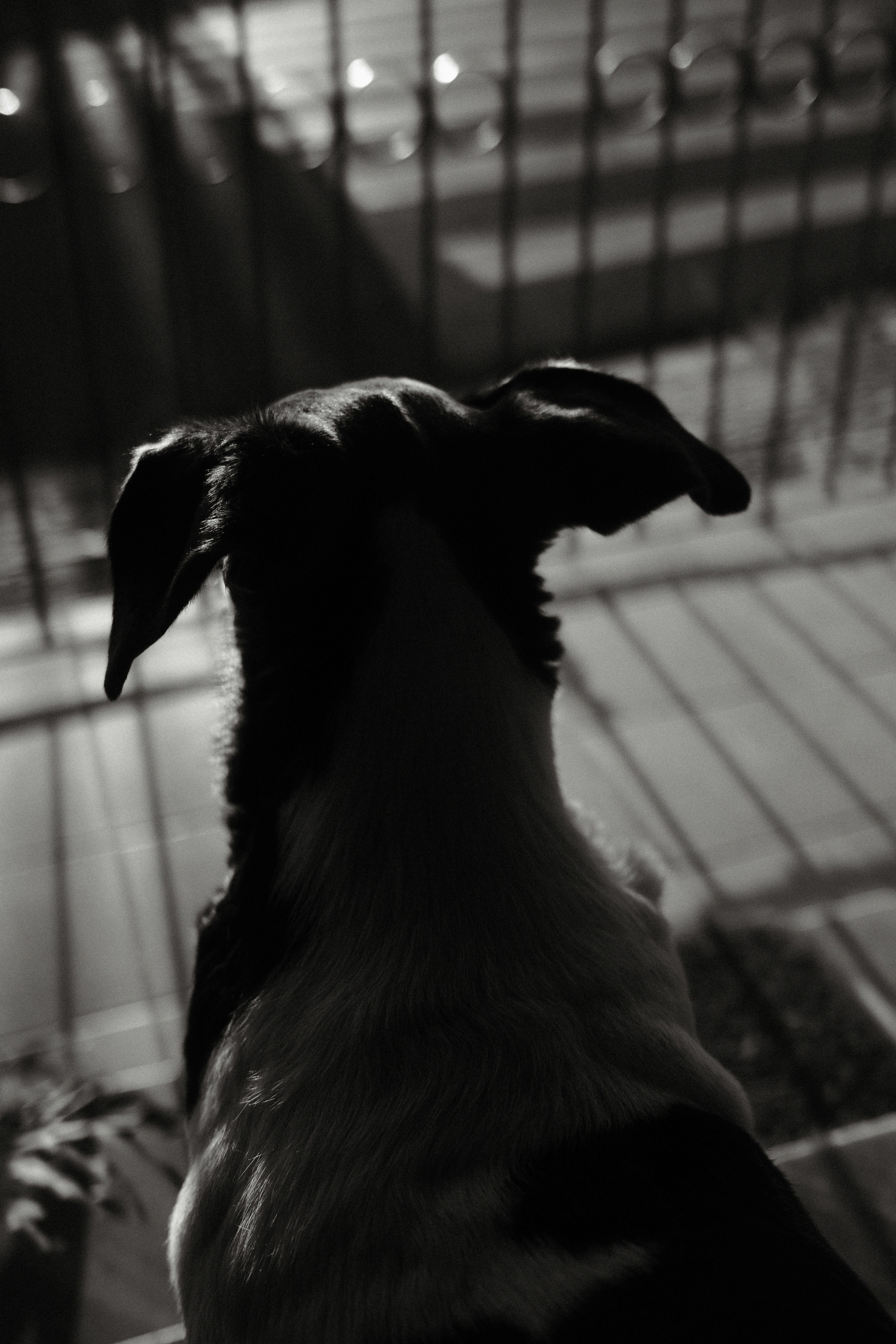 Photo by kenjikatahira