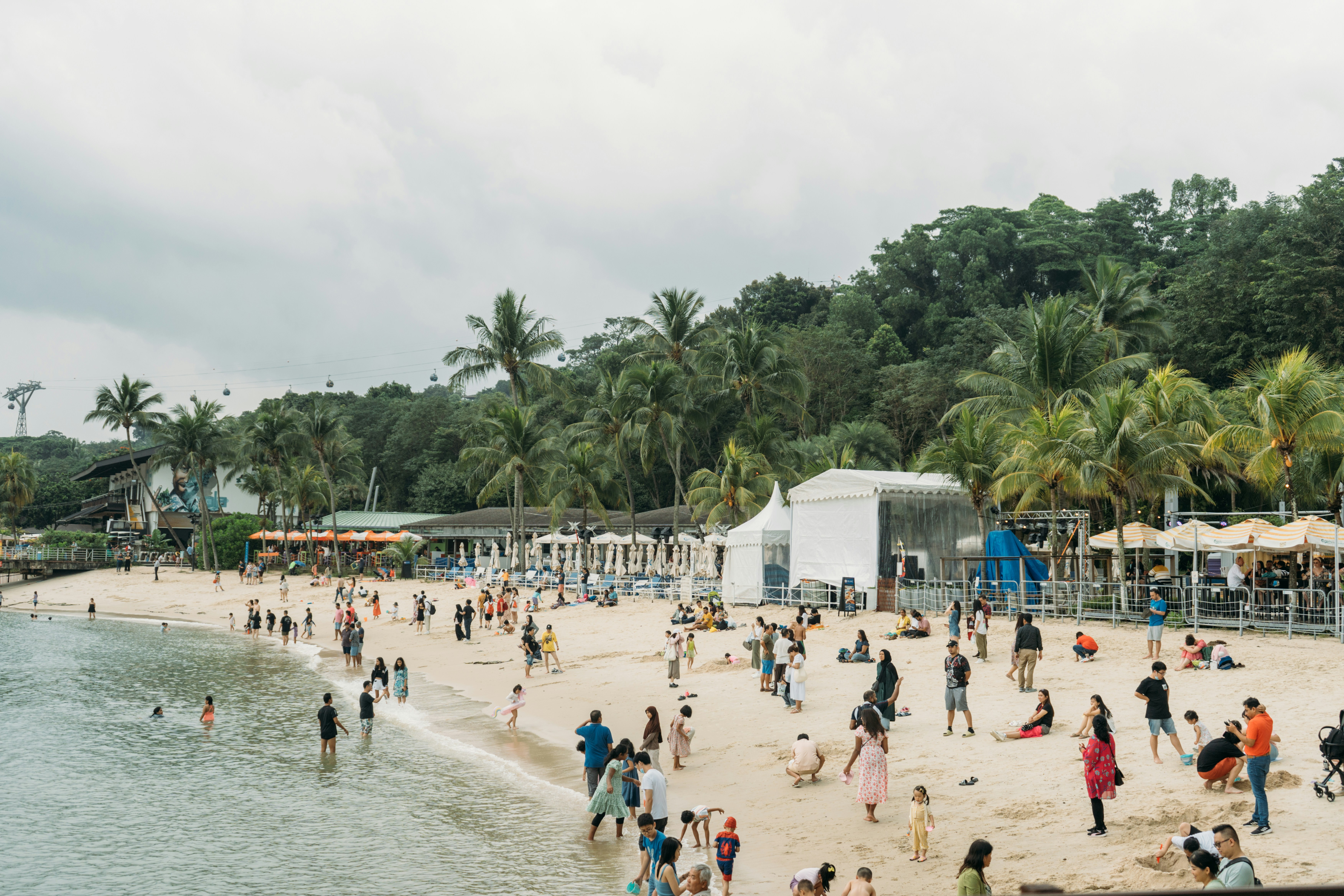 Menschen, die einen überfüllten Strand mit Palmen genießen.