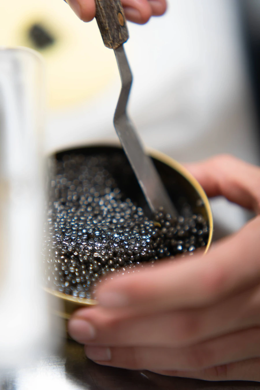 A caviar starter kit