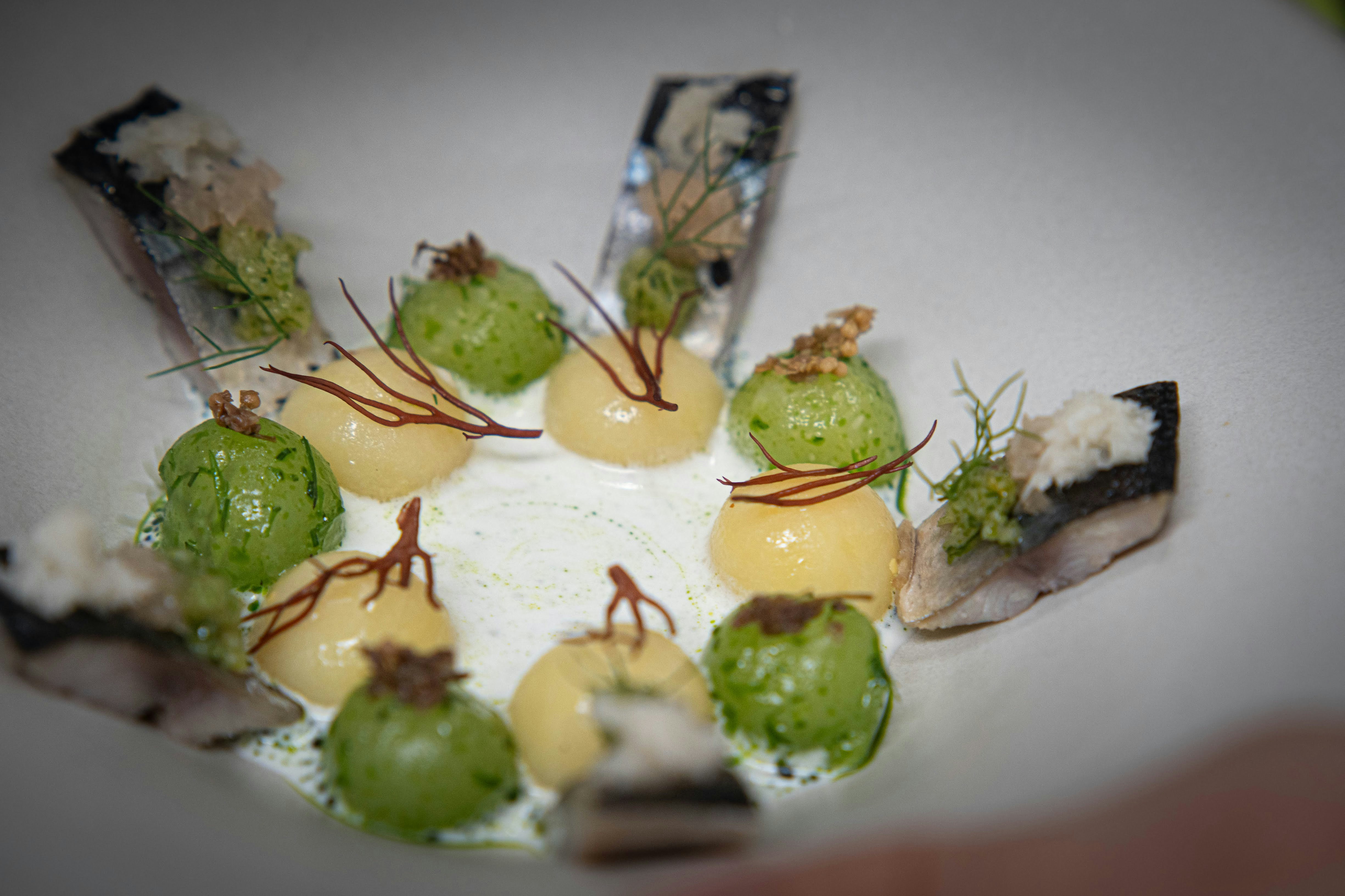 Gourmet dish with green and yellow spheres