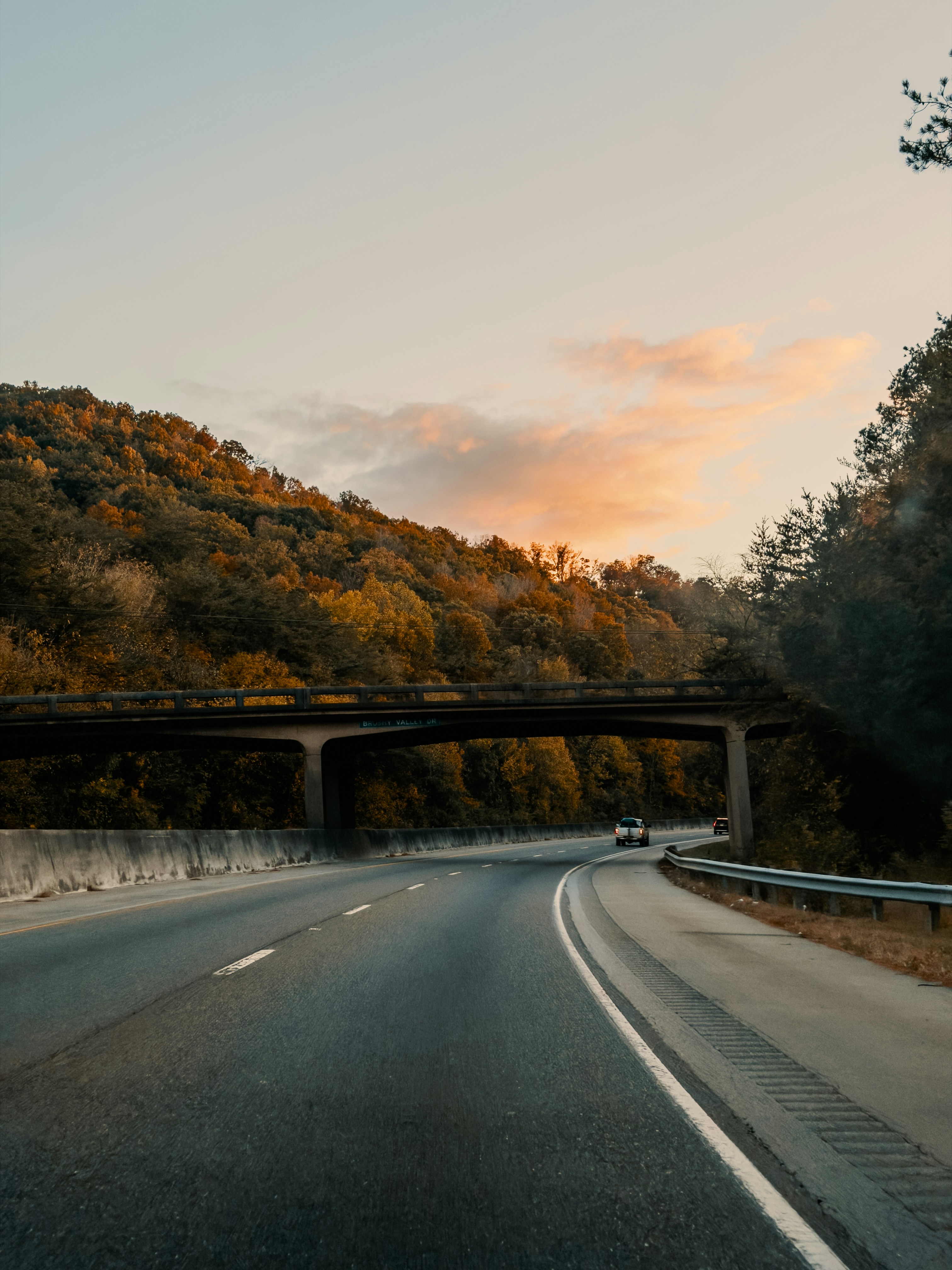 Highway passes under bridge with autumn trees.