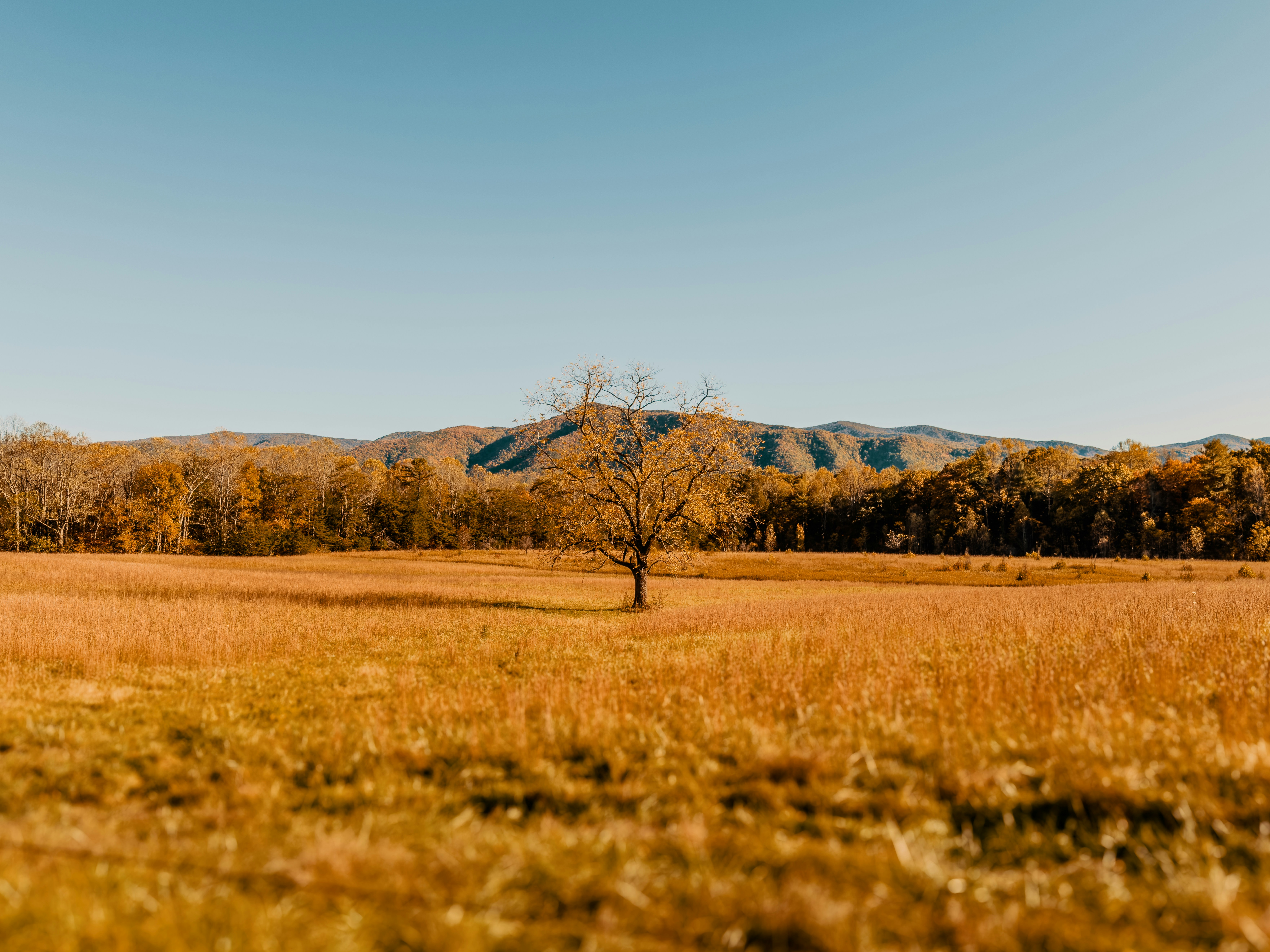 Photo by joshsorenson