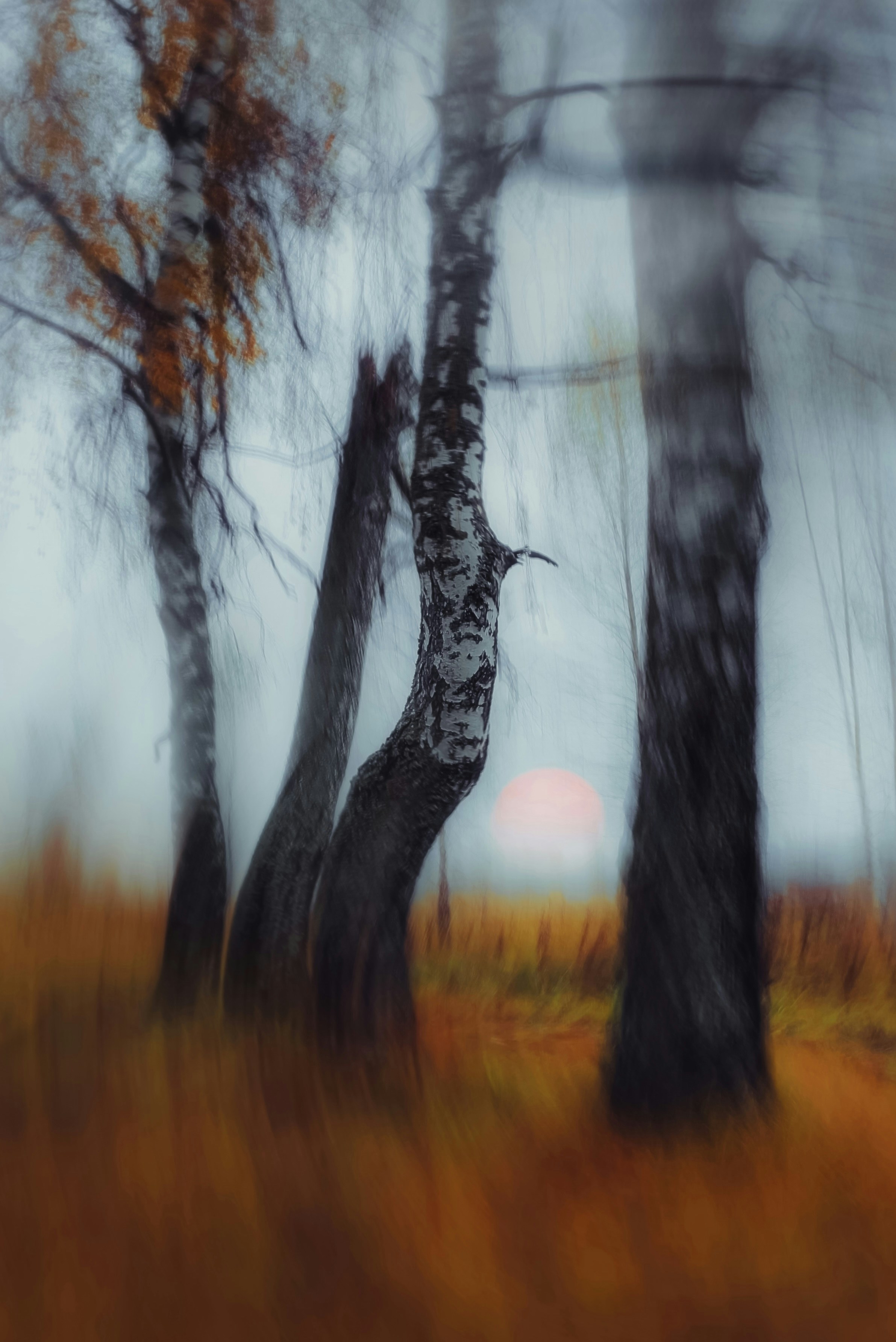 Photo by eugene_golovesov