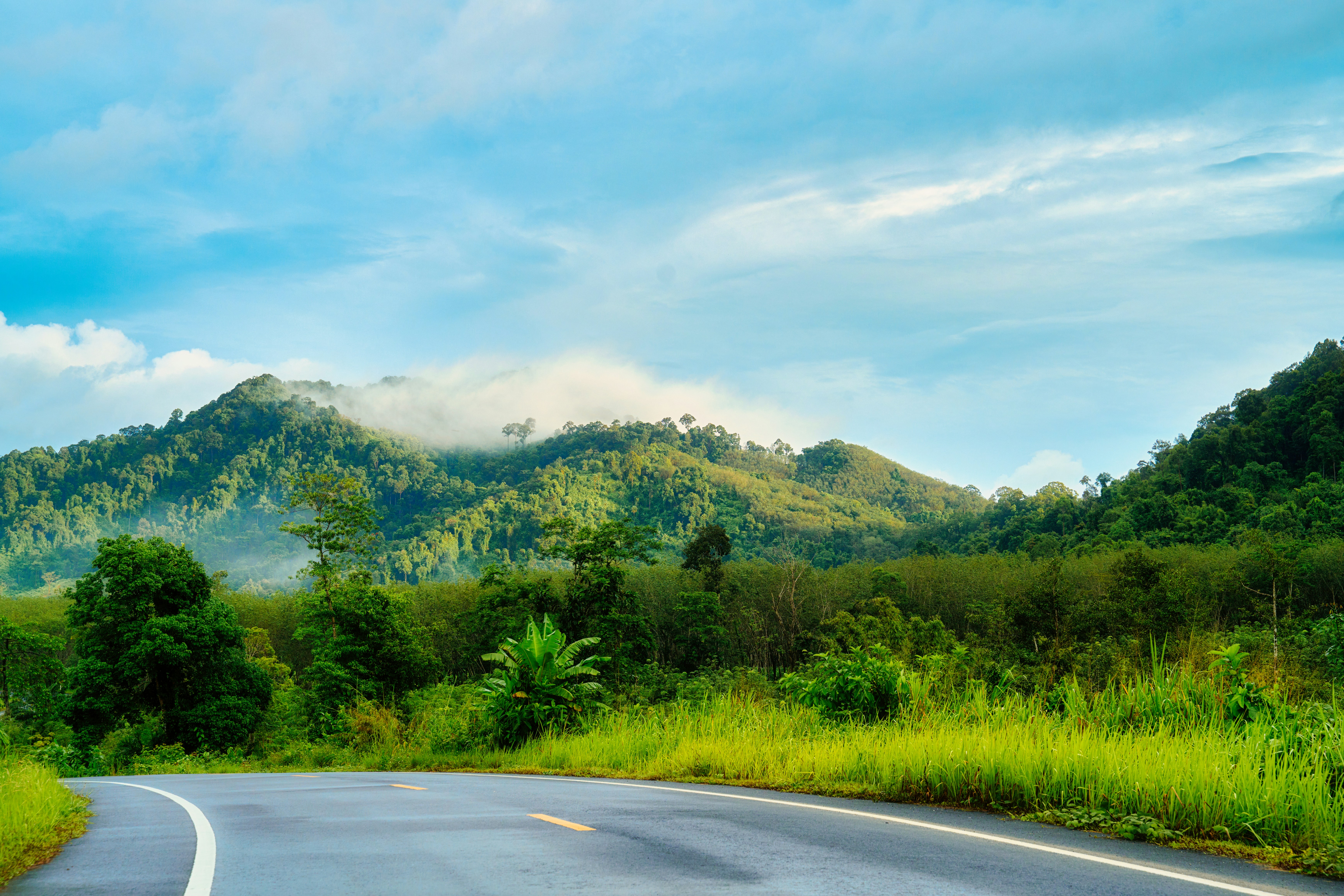 Winding road through lush green mountains under cloudy sky