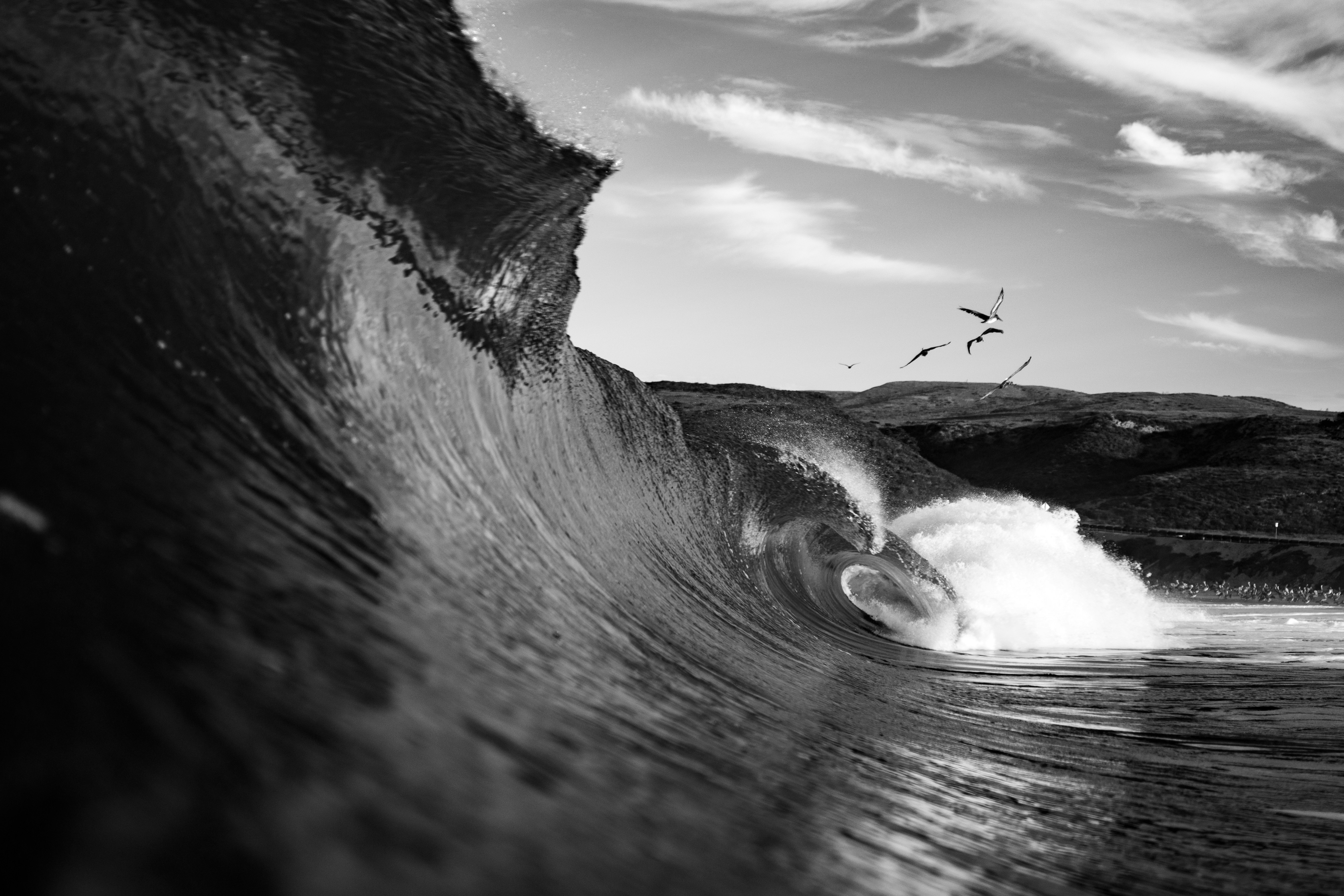 Photo by garrettsschmid