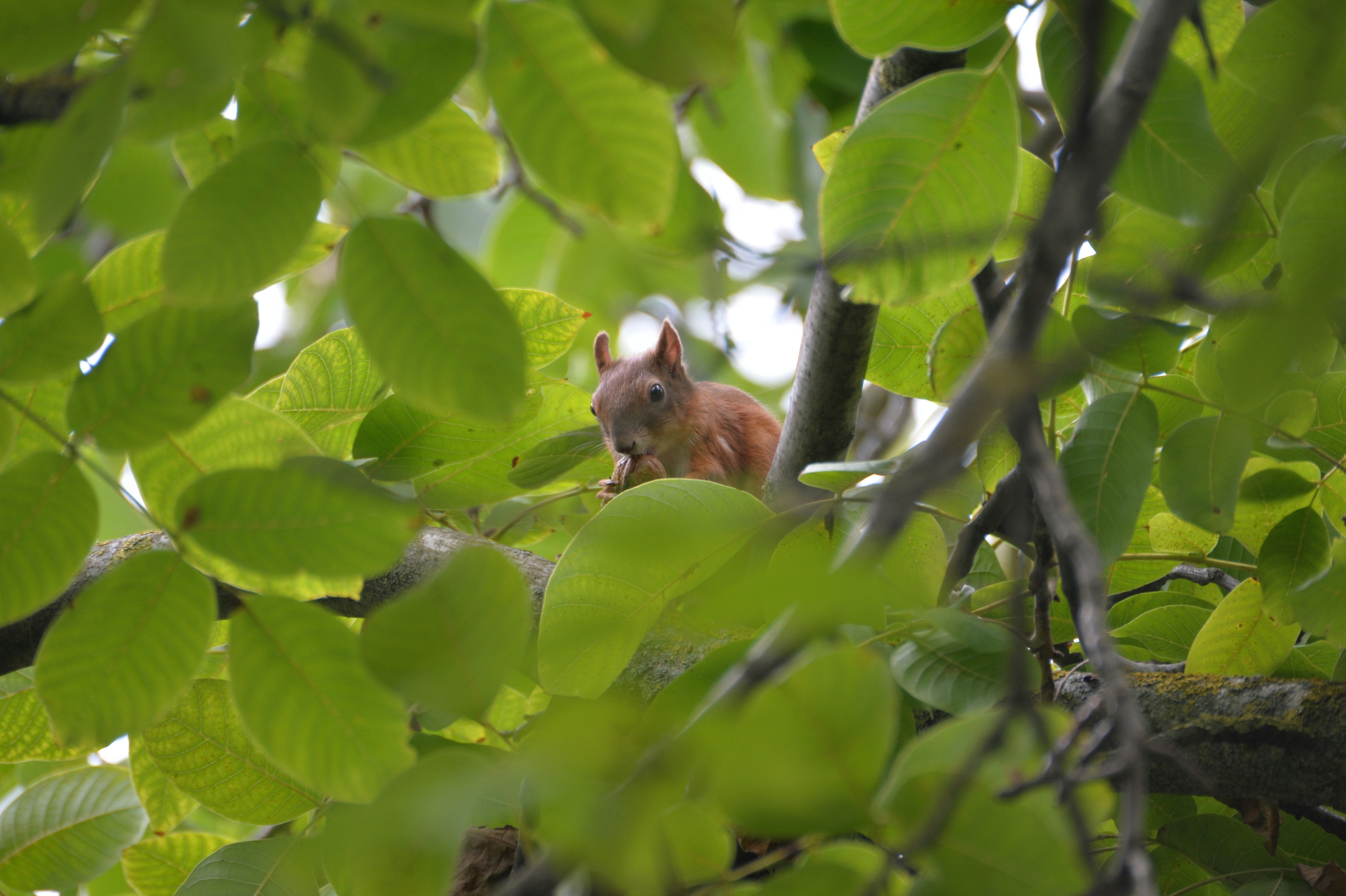 Photo by baliko_andras