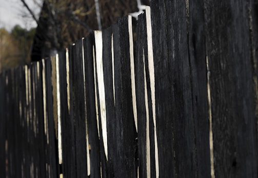 Sunlight shines through gaps in a weathered wooden fence.