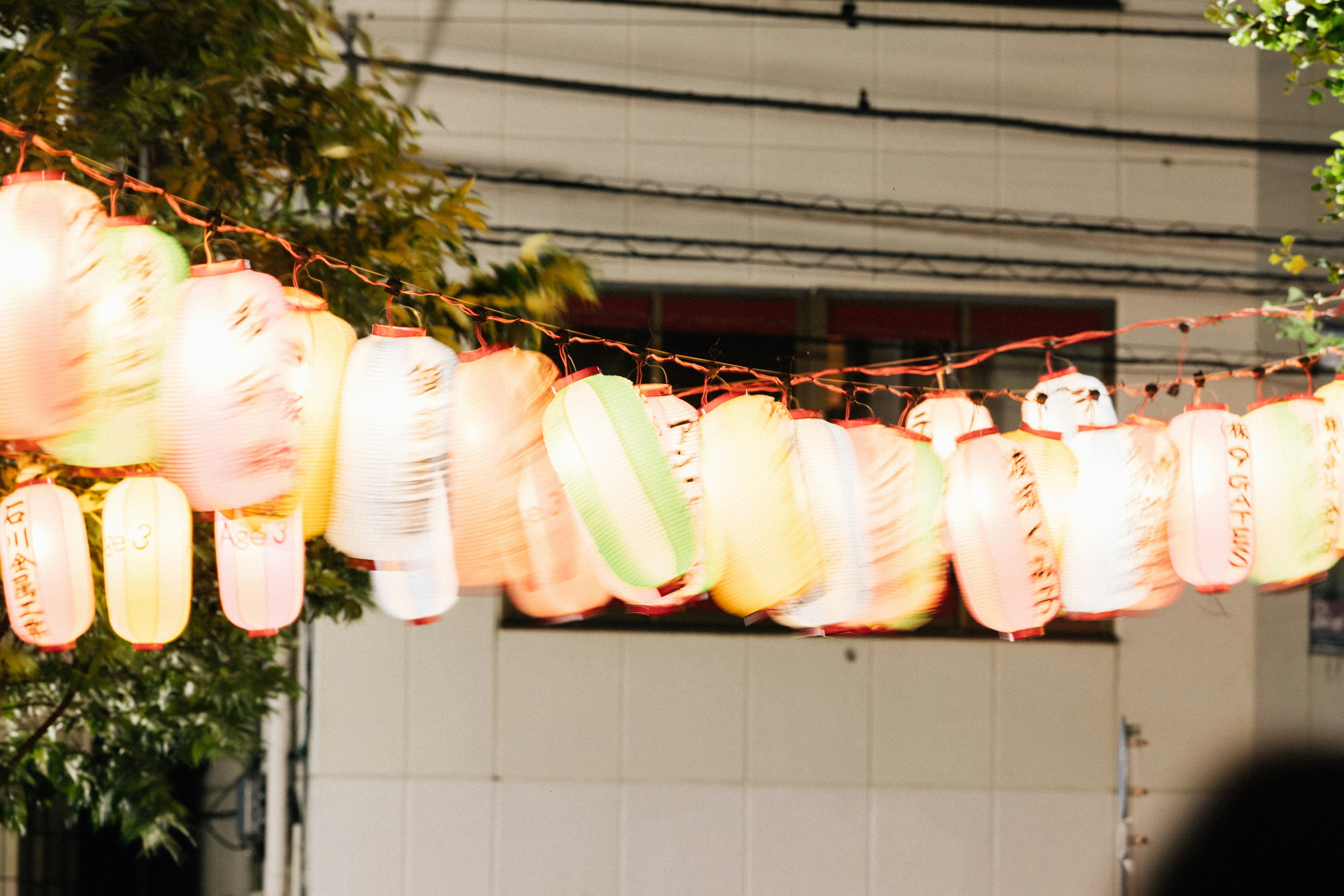 Photo by tsuyoshikozu