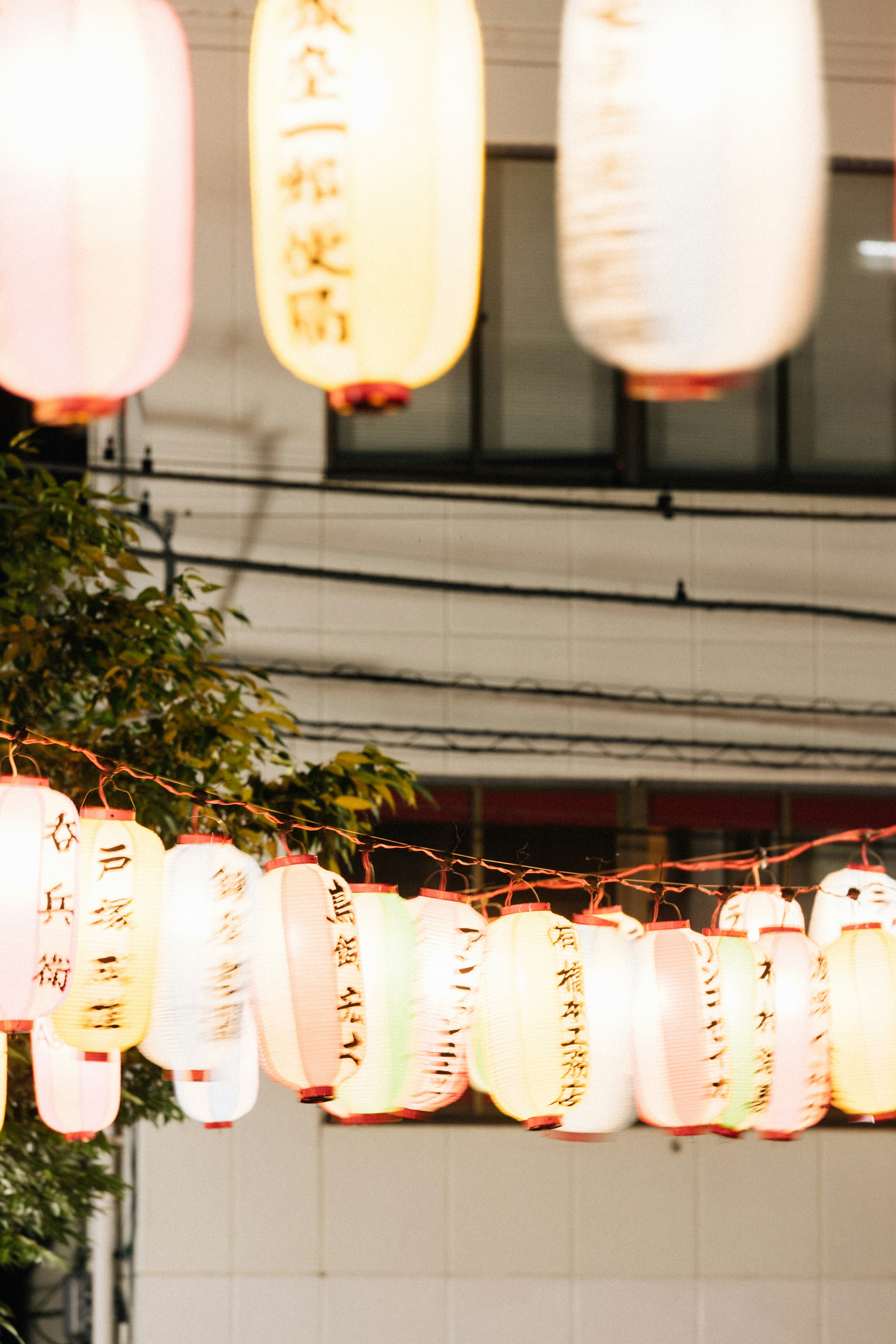 Photo by tsuyoshikozu