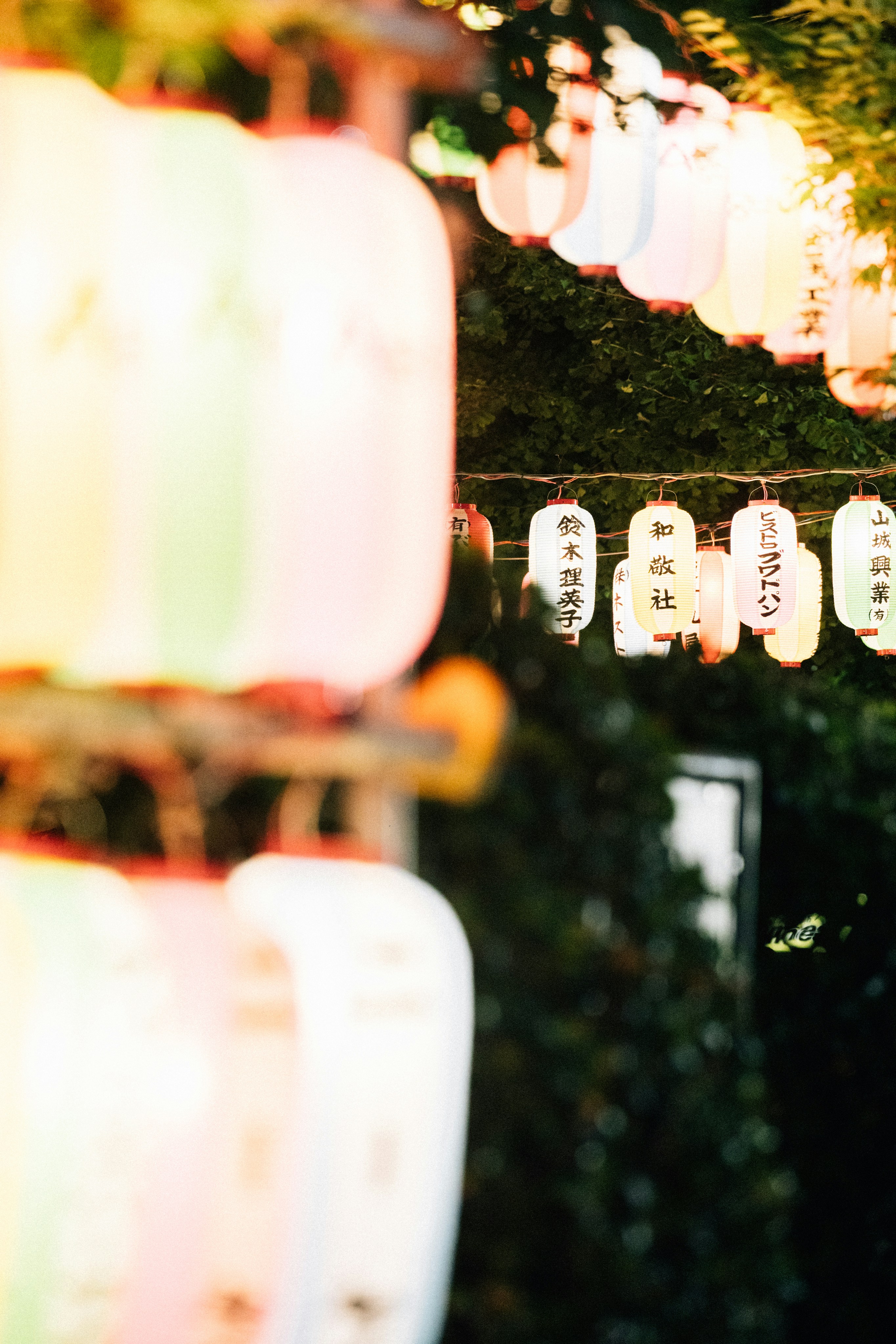 Photo by tsuyoshikozu