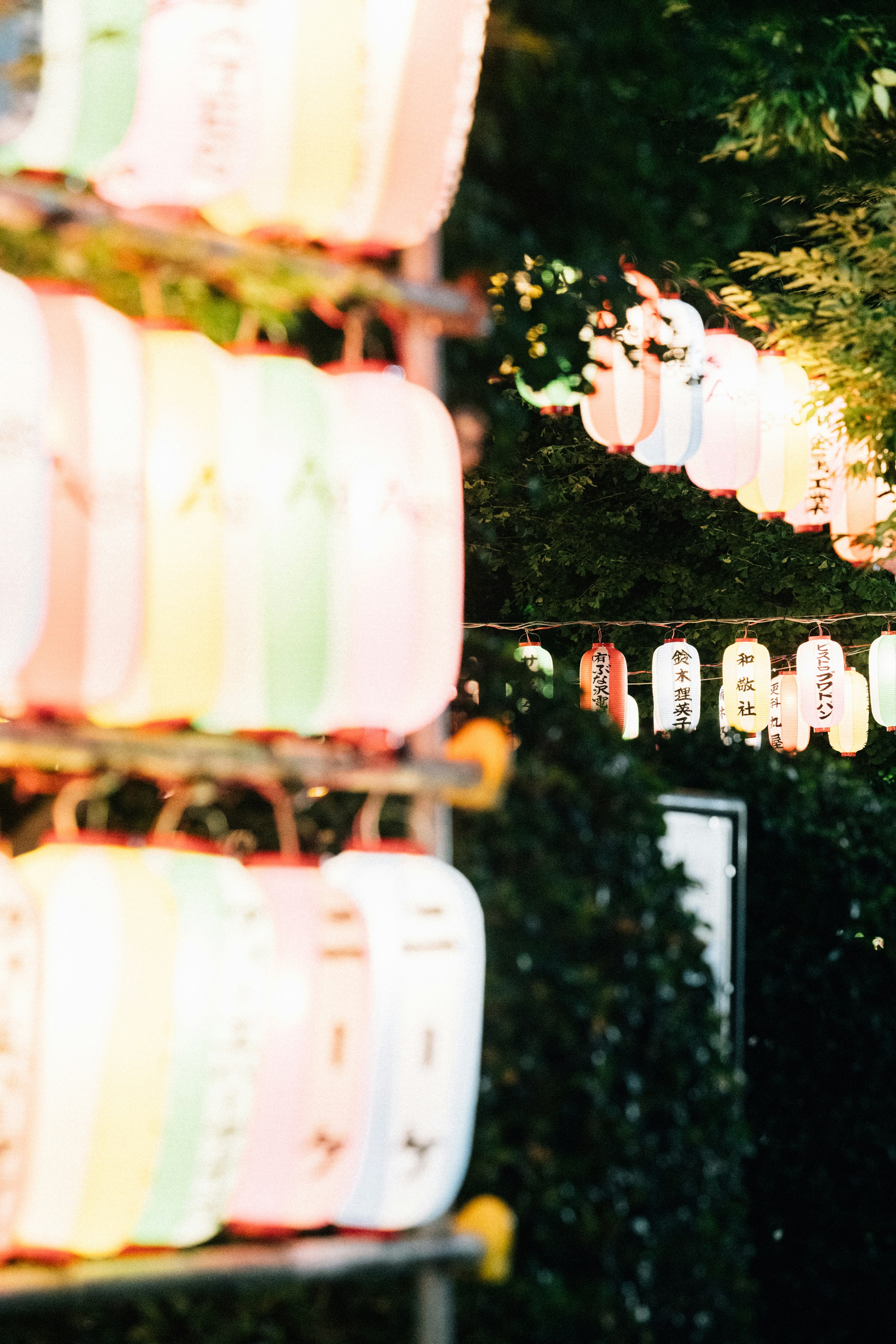 Photo by tsuyoshikozu