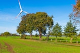 Wind turbine in a green field with trees