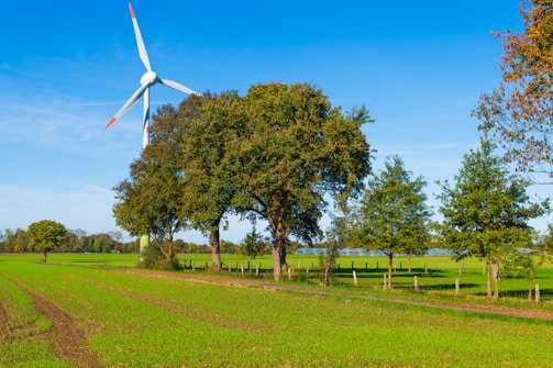 Wind turbine in a green field with trees