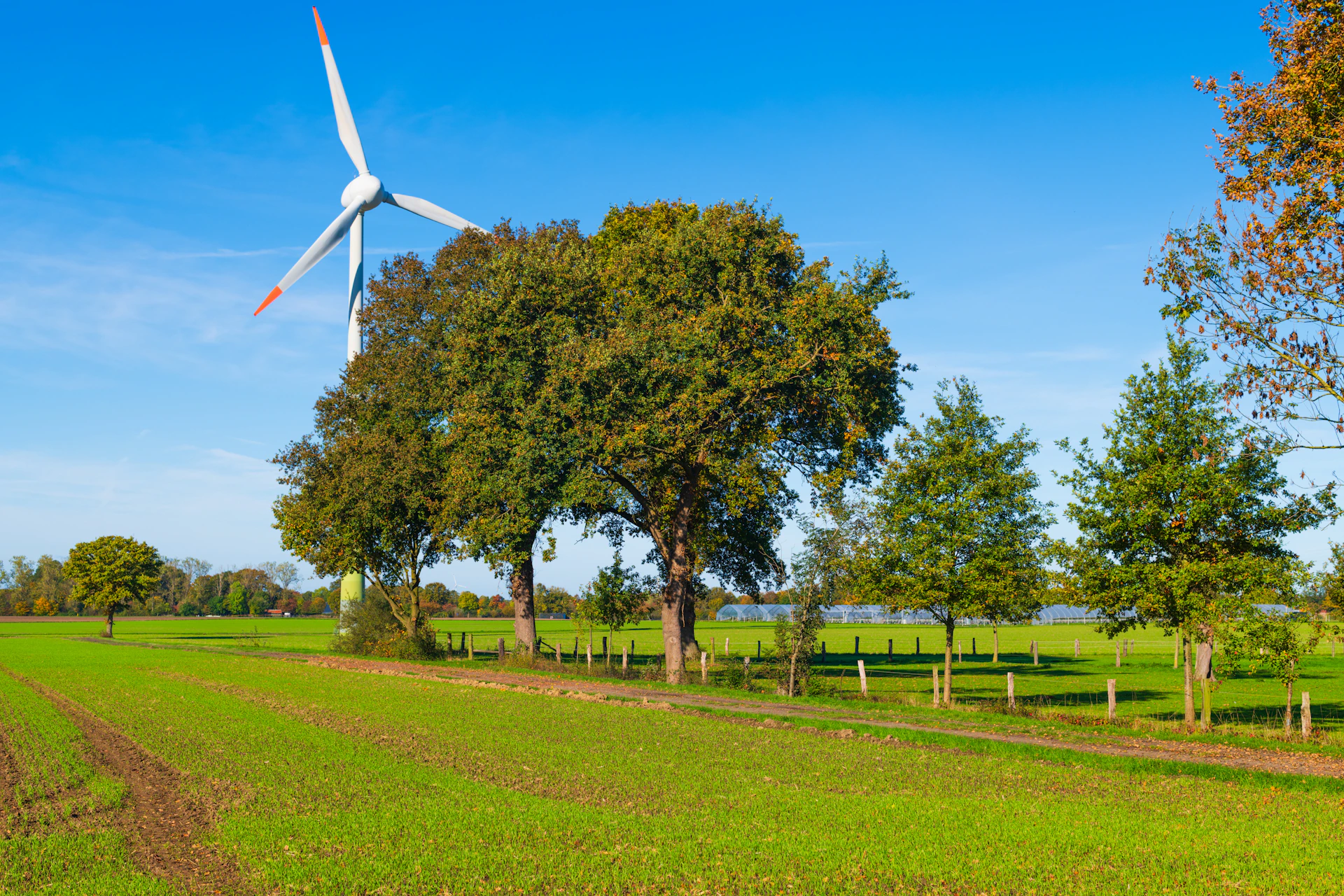 Wind turbine in a green field with trees