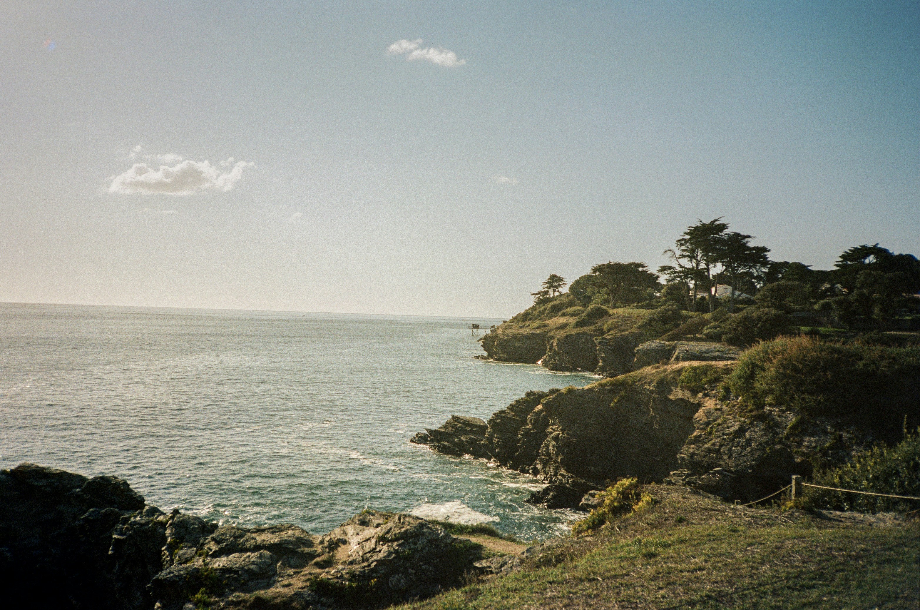 Rocky coastline with trees and ocean waves