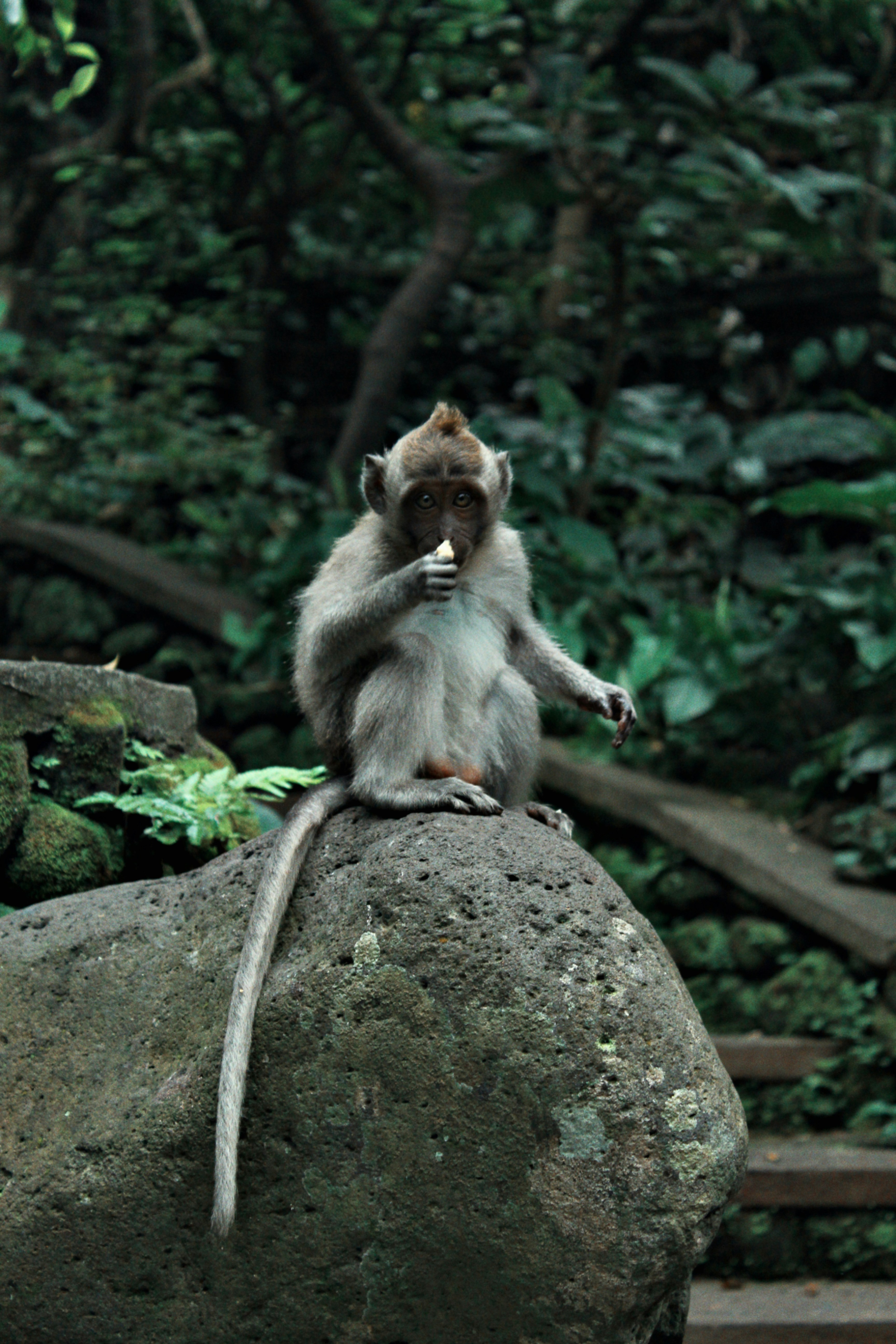 Photo by raphaellemaillard