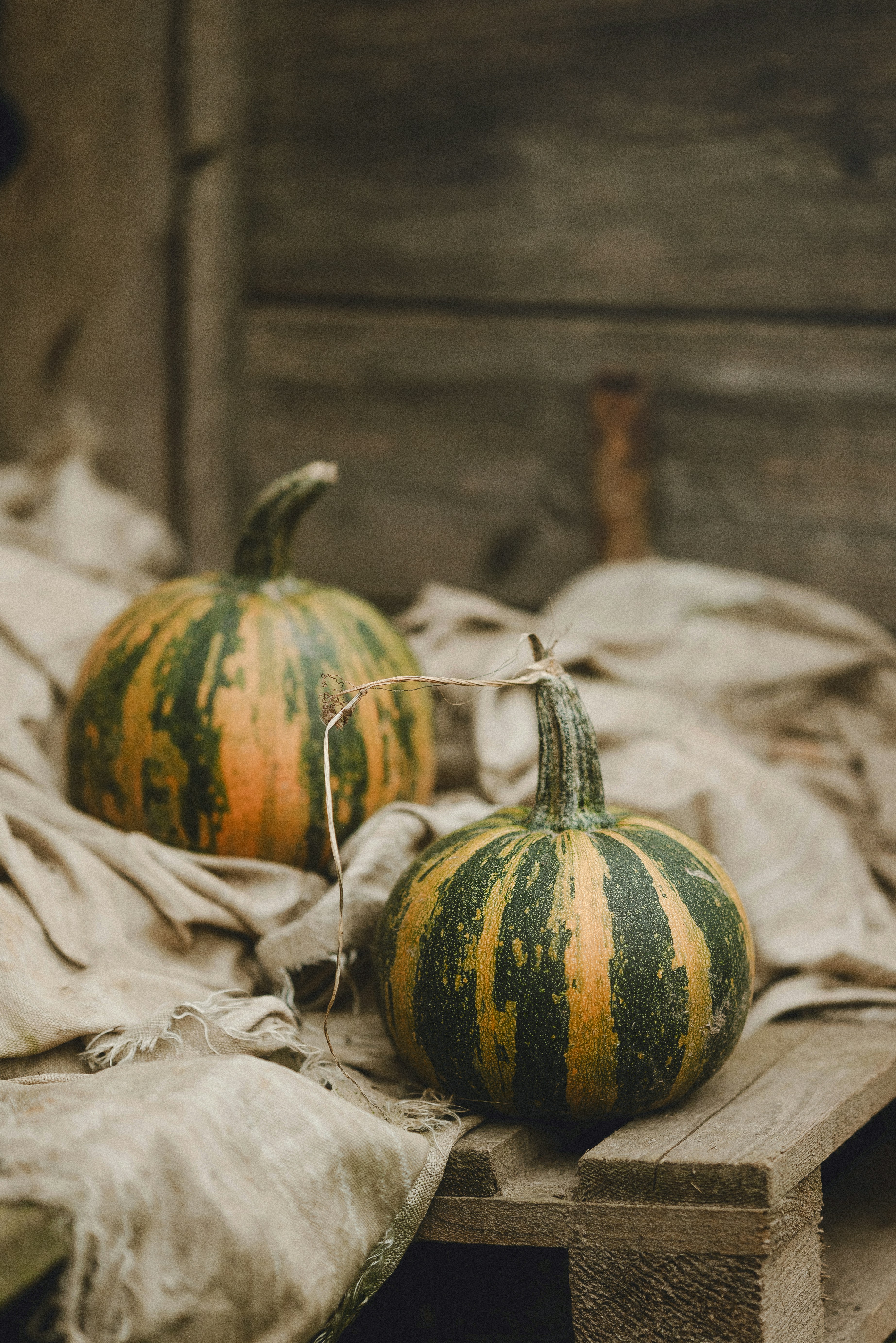 Two striped gourds on a rustic wooden surface.