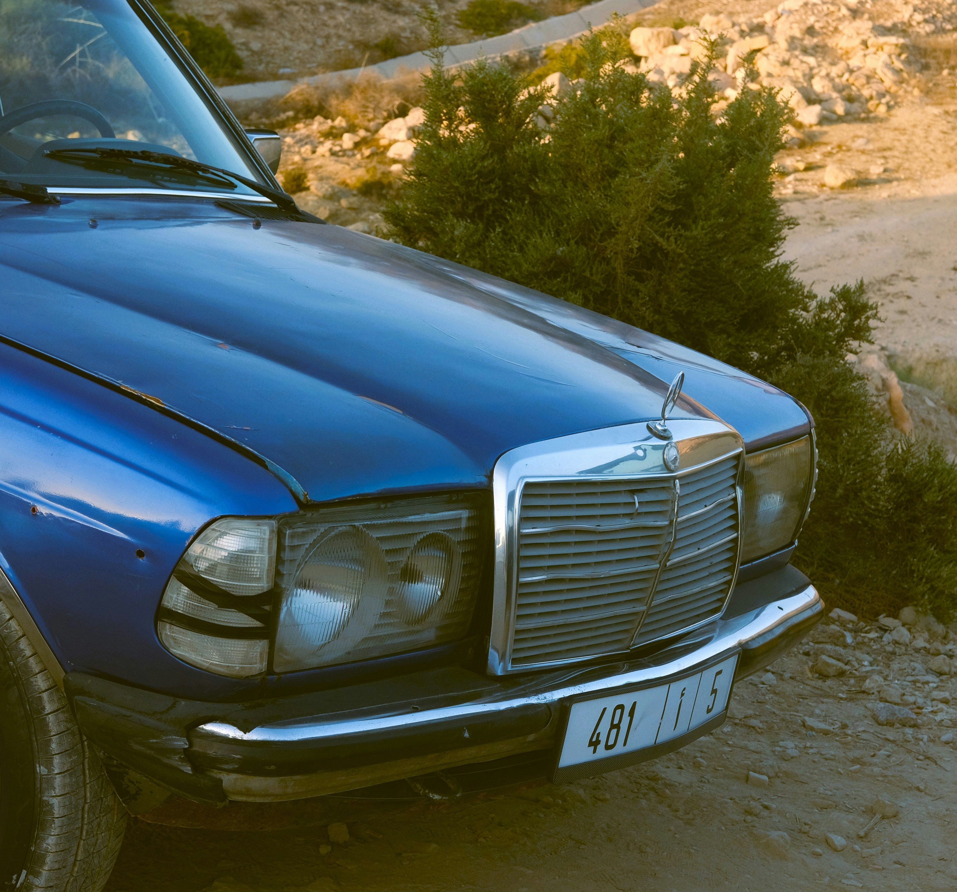 Photo by tausendbuehler100