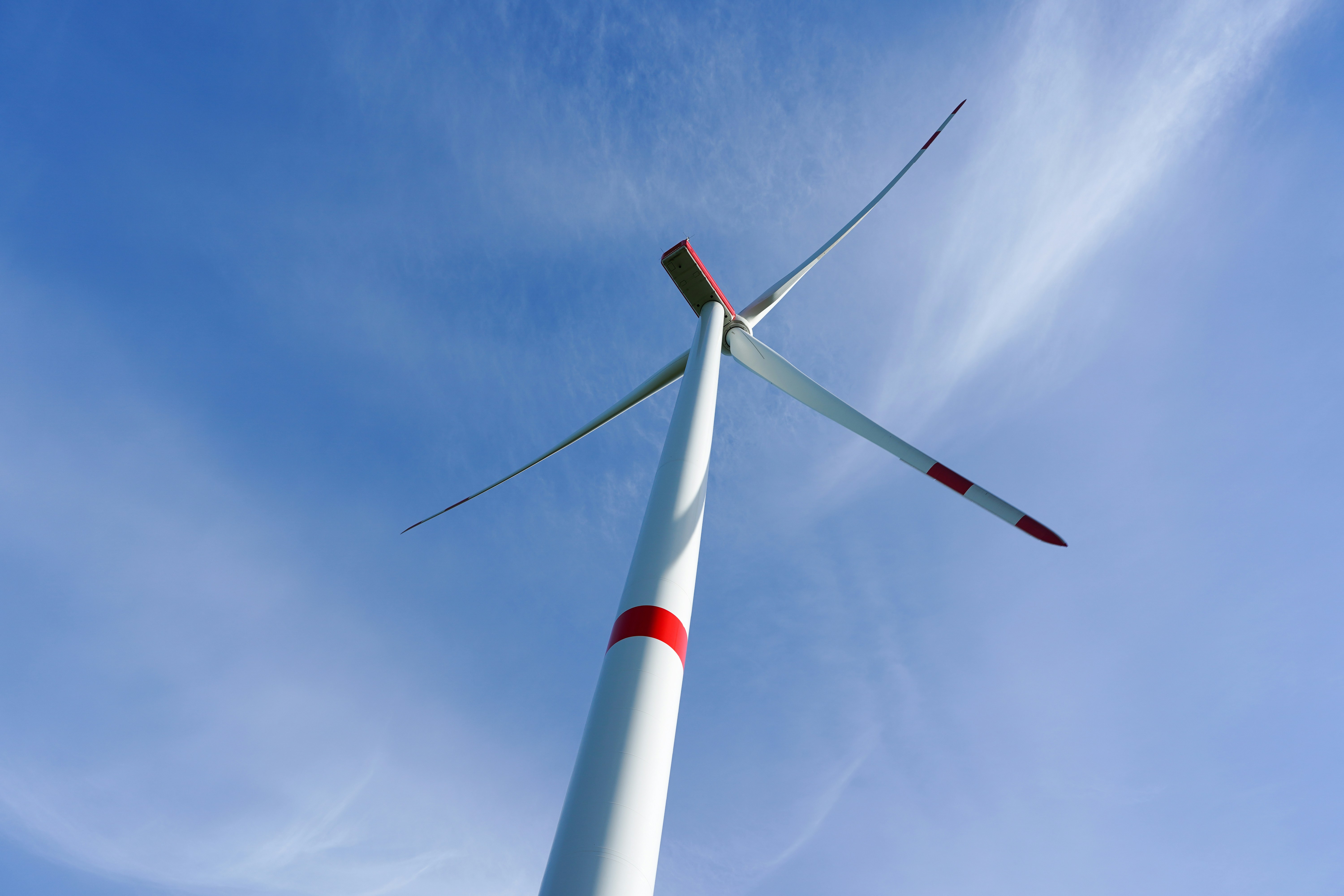 Country chicken eggs