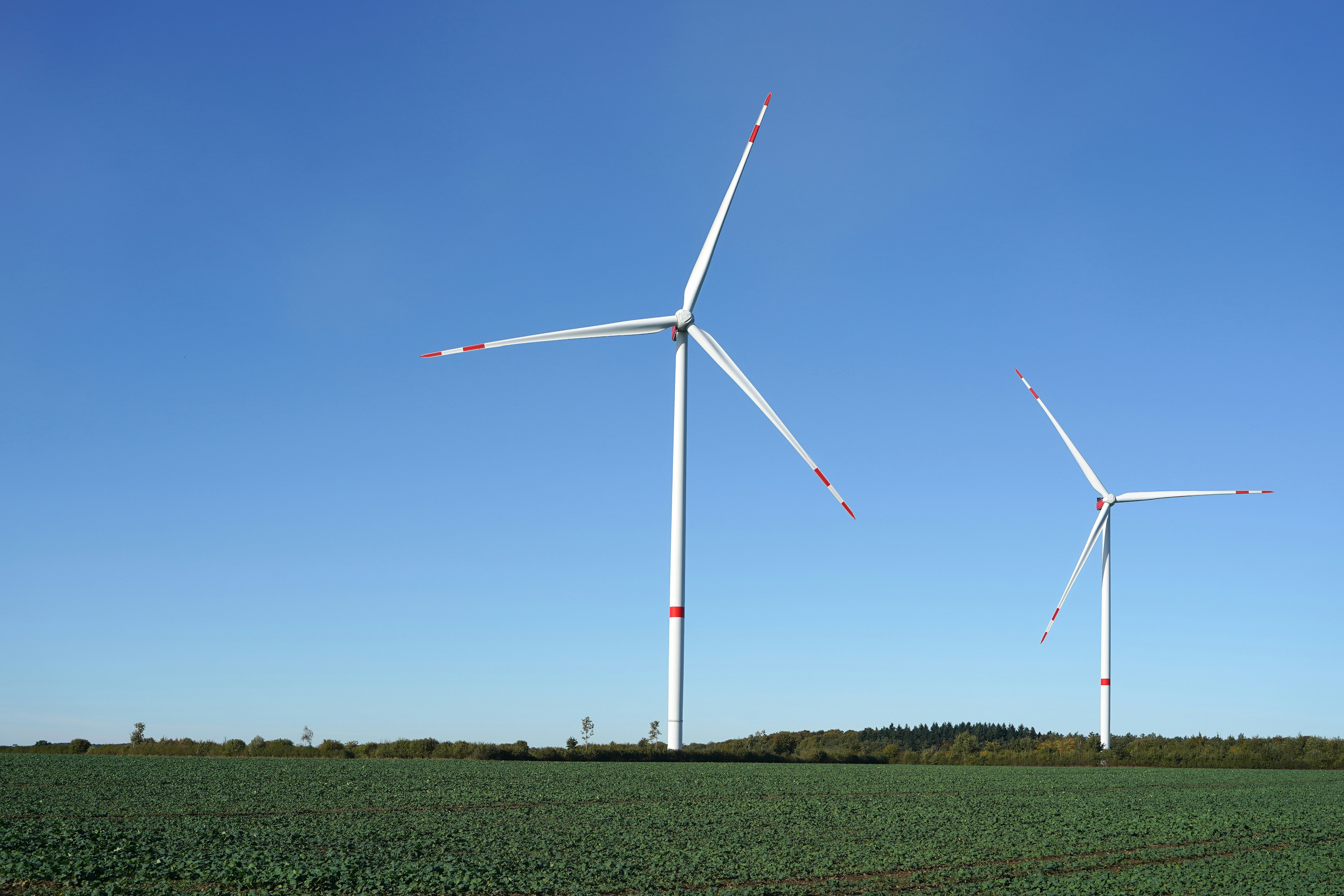 Photo by hamburgmeinefreundin