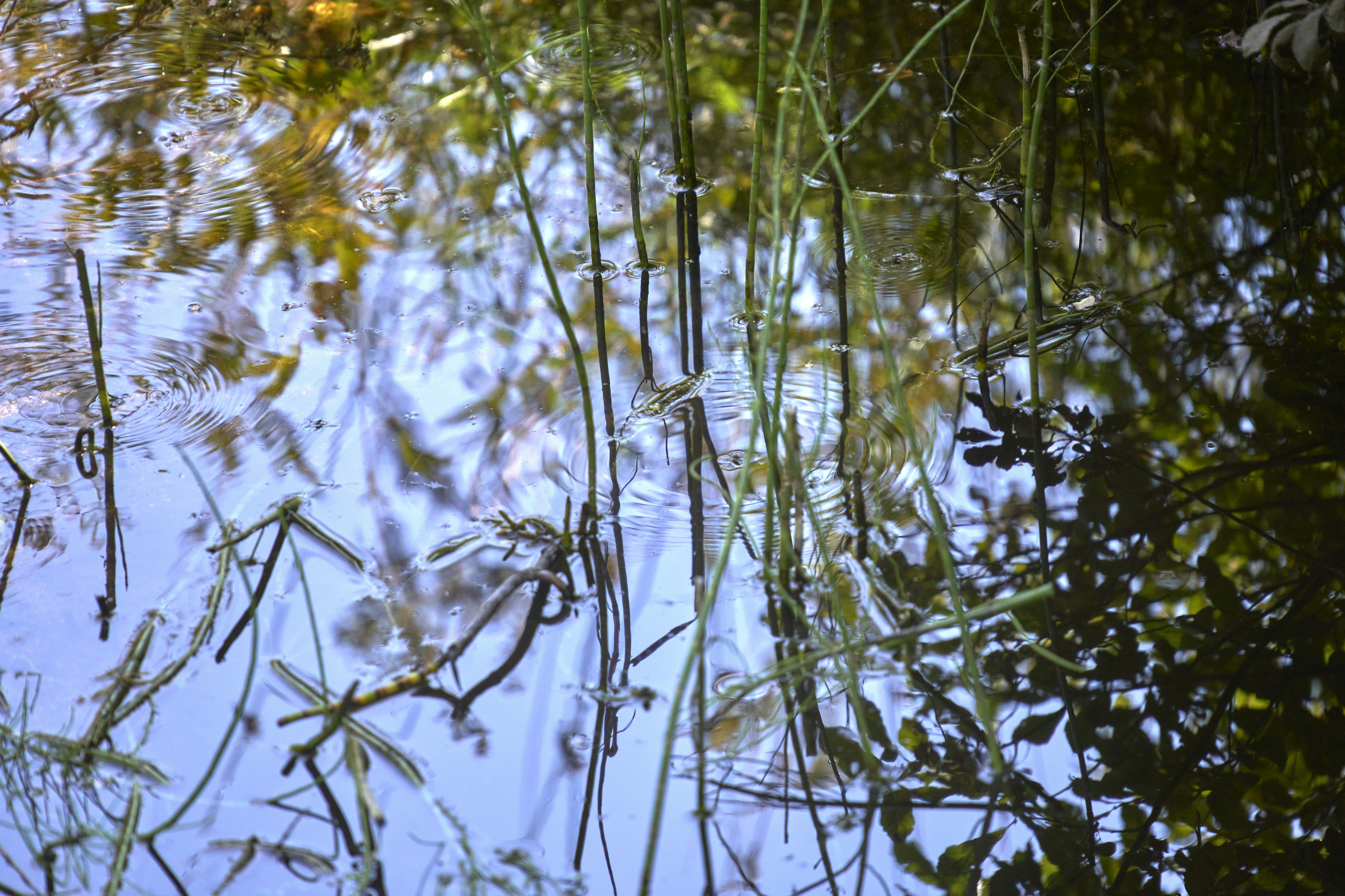 Photo by wolfgang_hasselmann