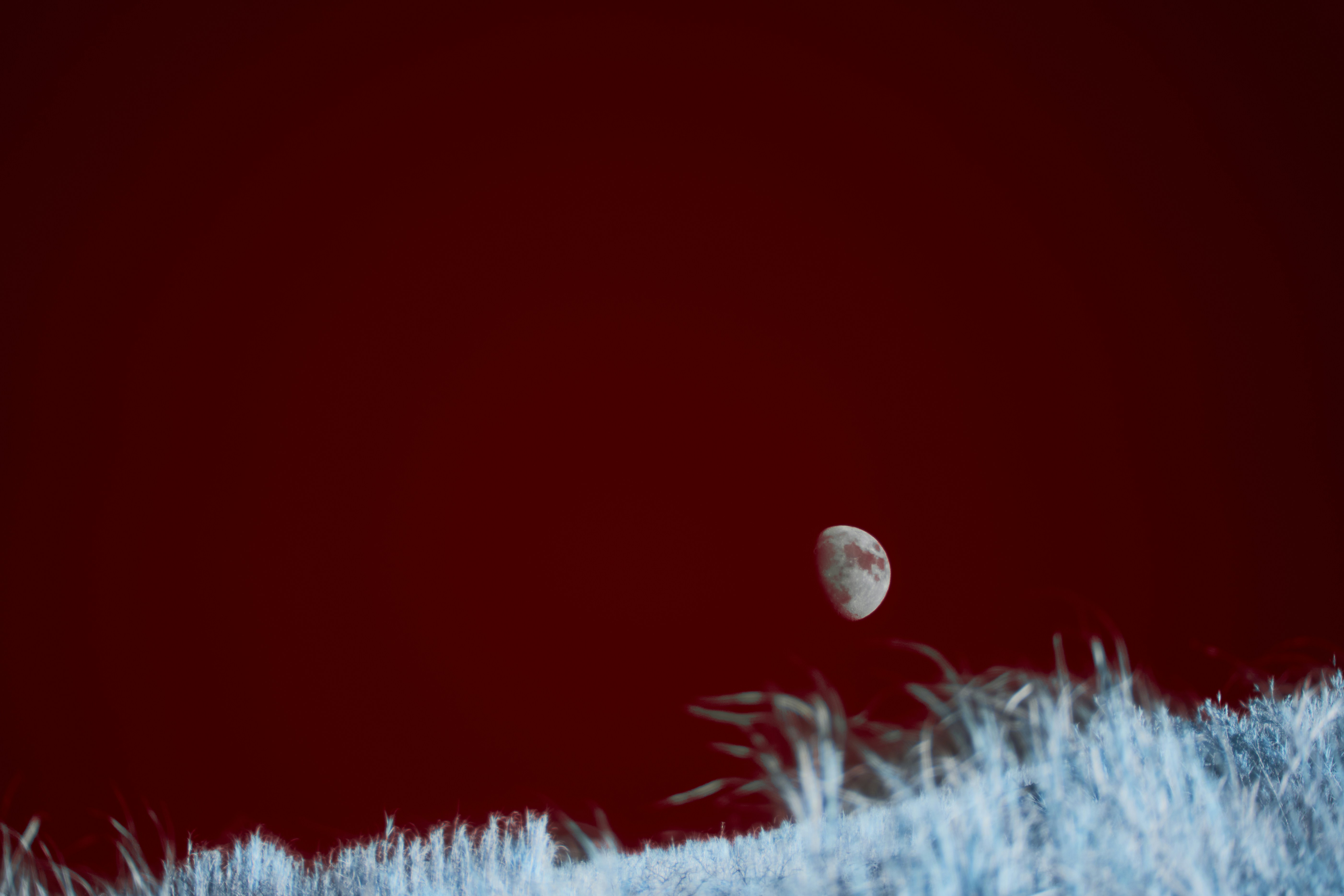 Lua visível em um céu vermelho escuro acima da grama