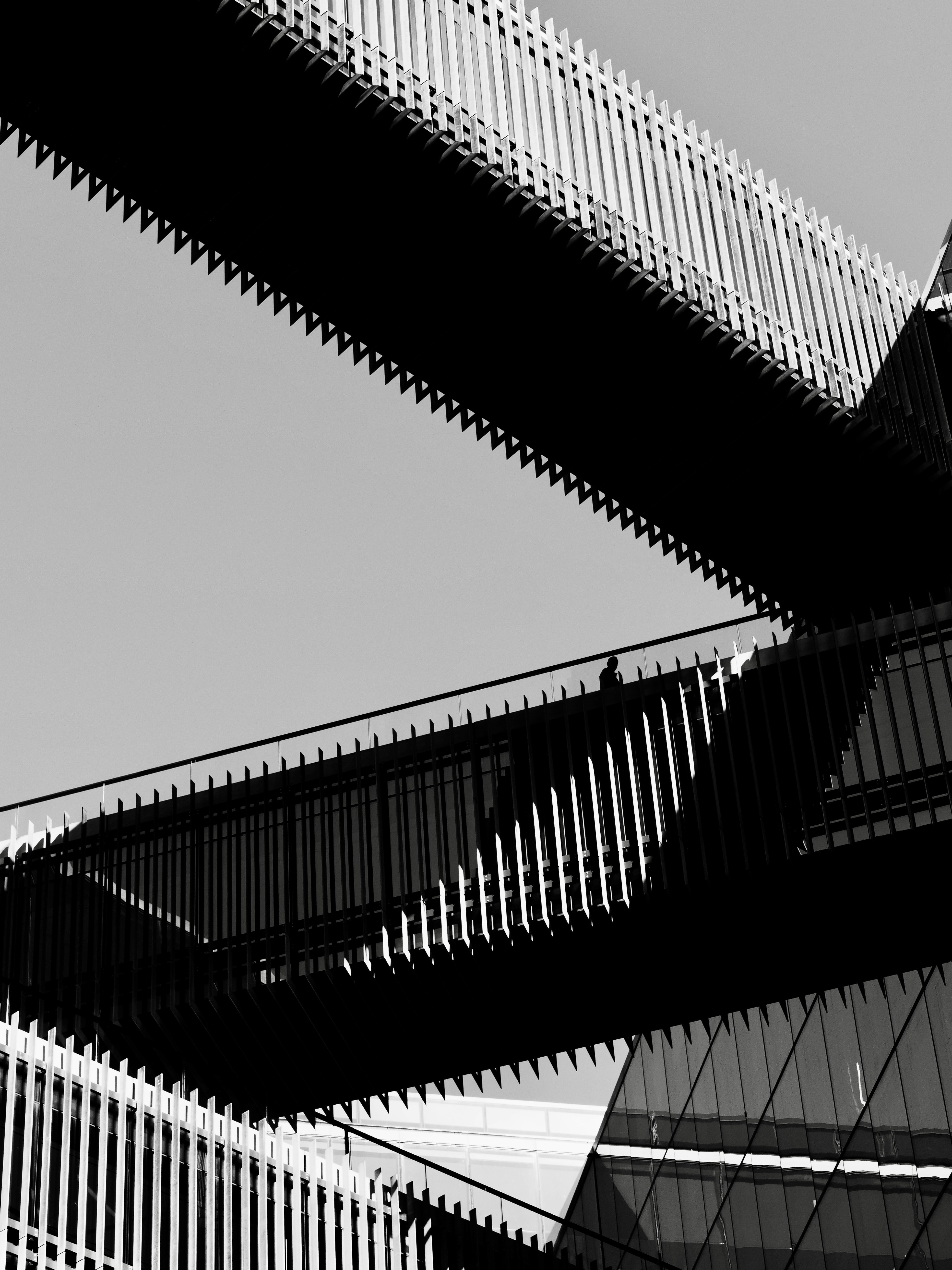 Photo by sschusterphotoart