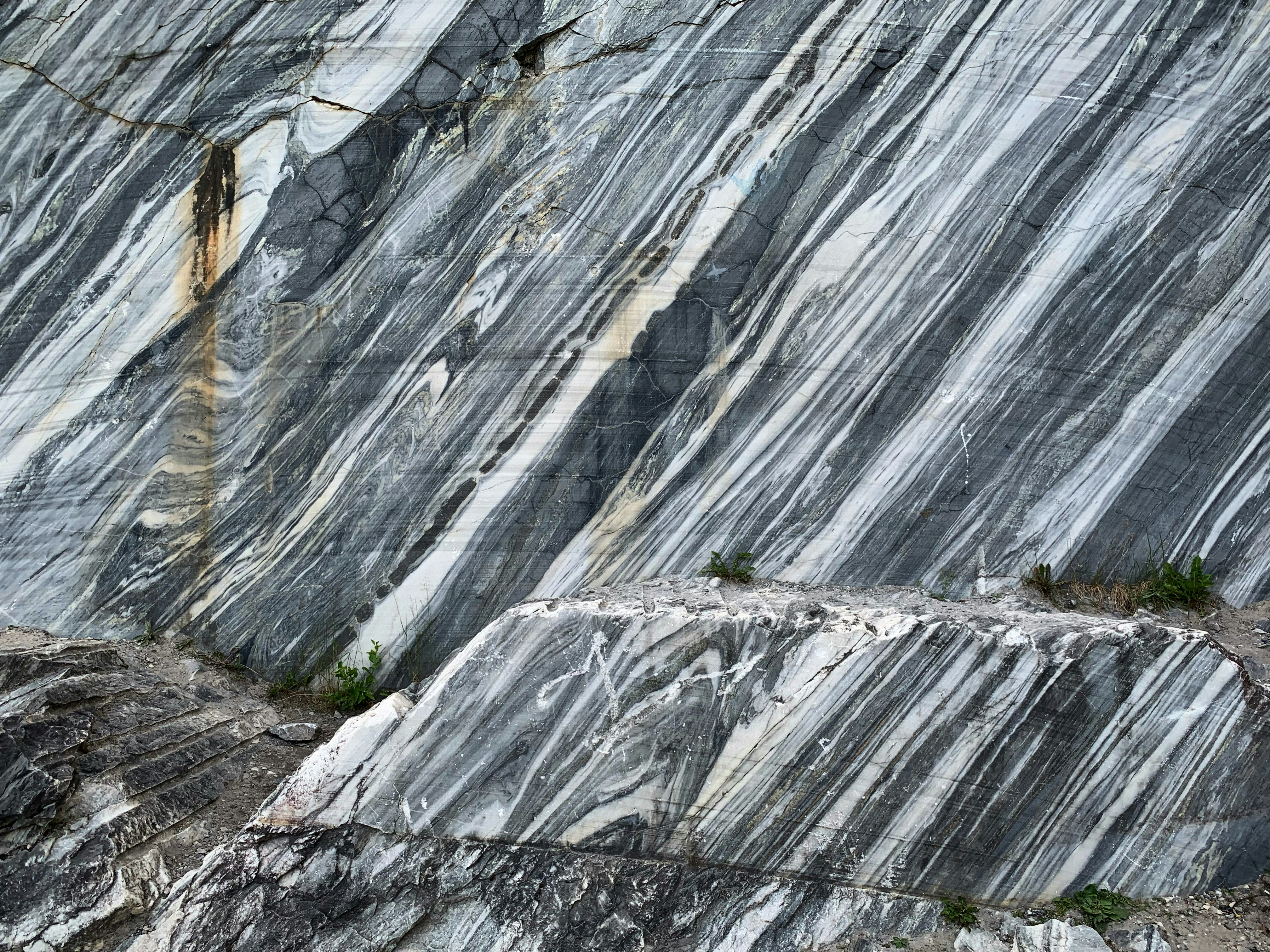 Photo by sergei_gussev