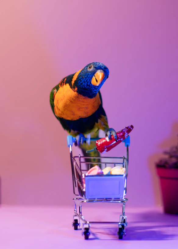 A colorful lorikeet bird in a miniature shopping cart