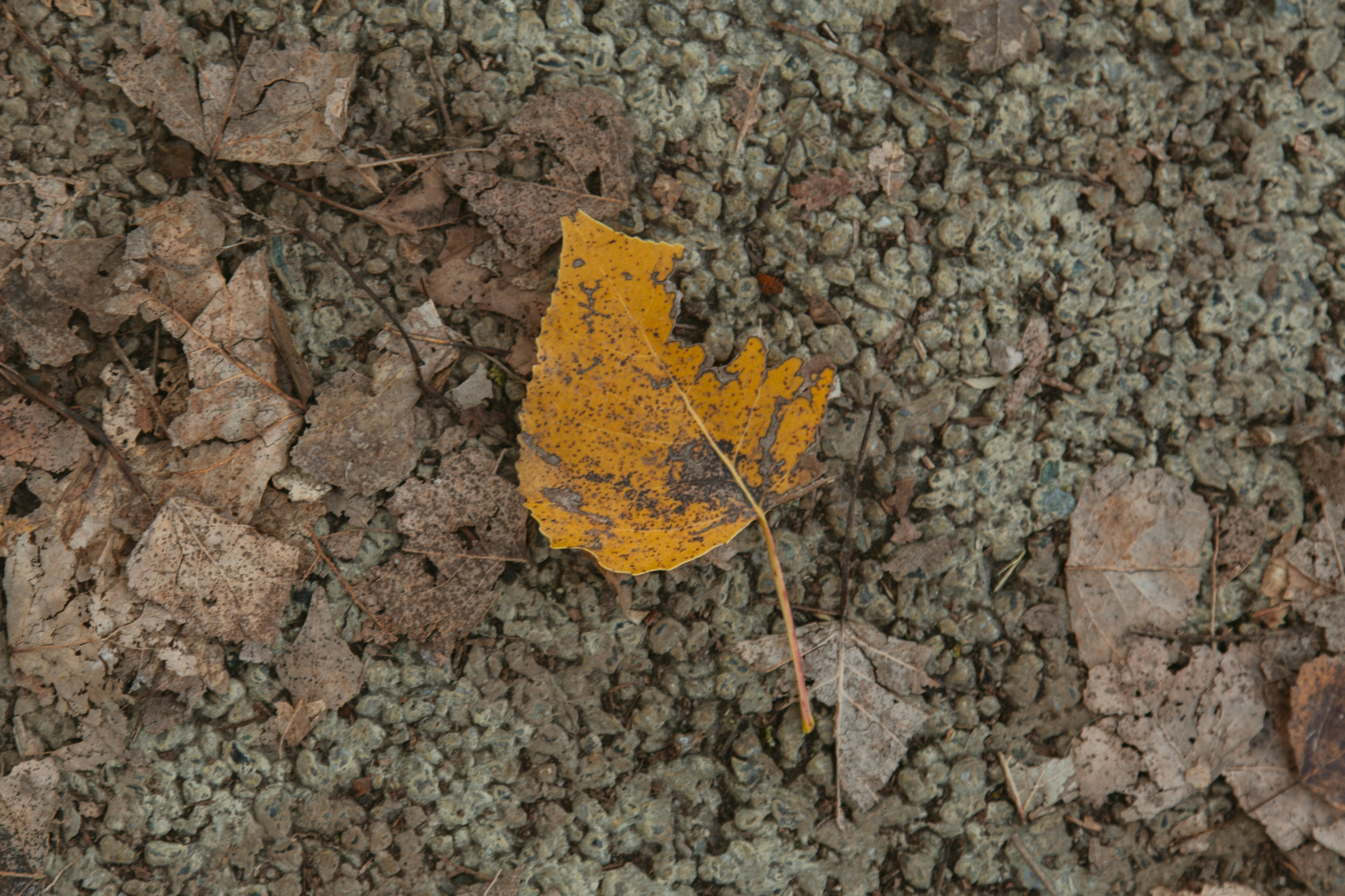 Photo by i_am_simoesse