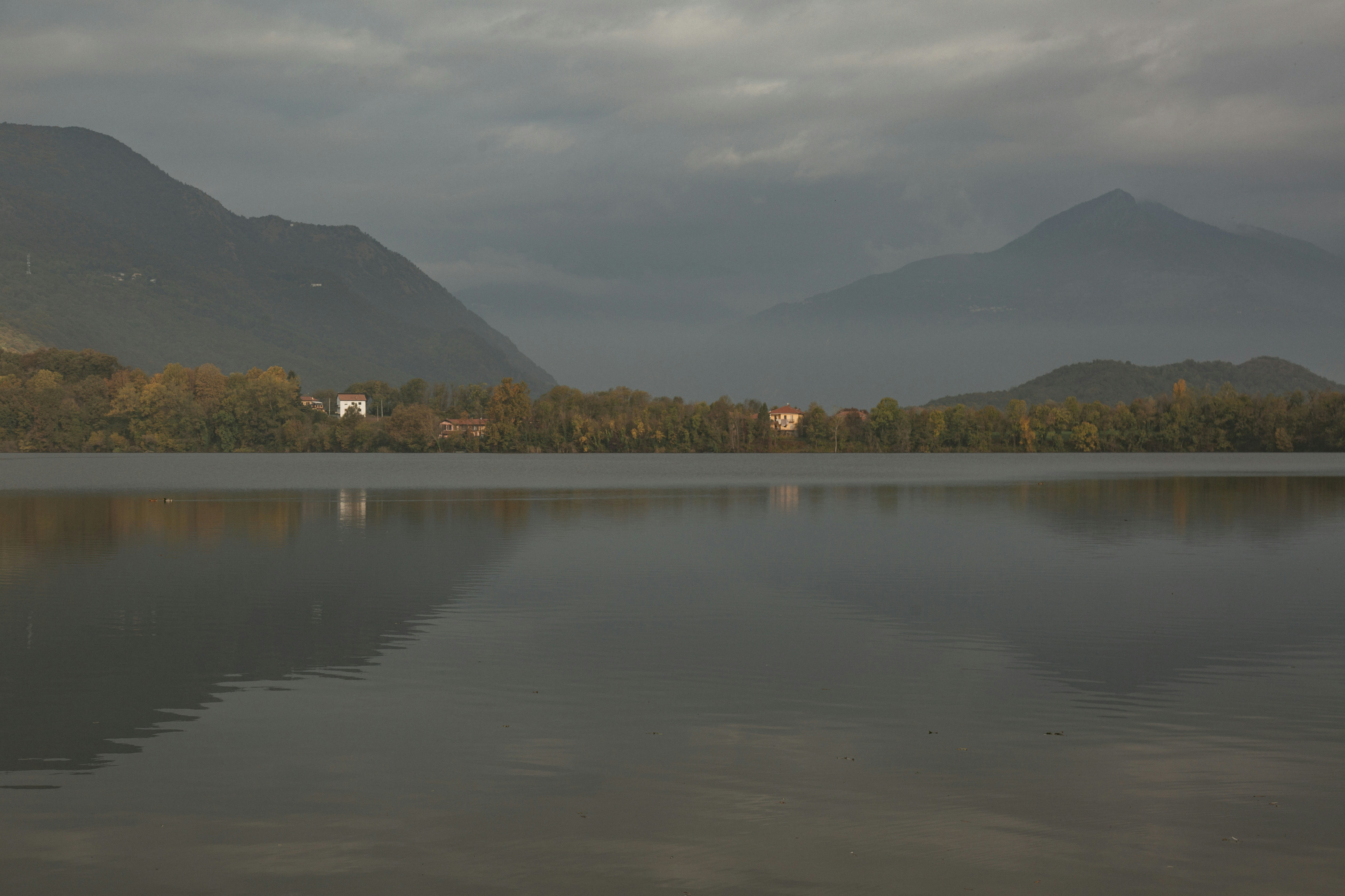 Photo by i_am_simoesse