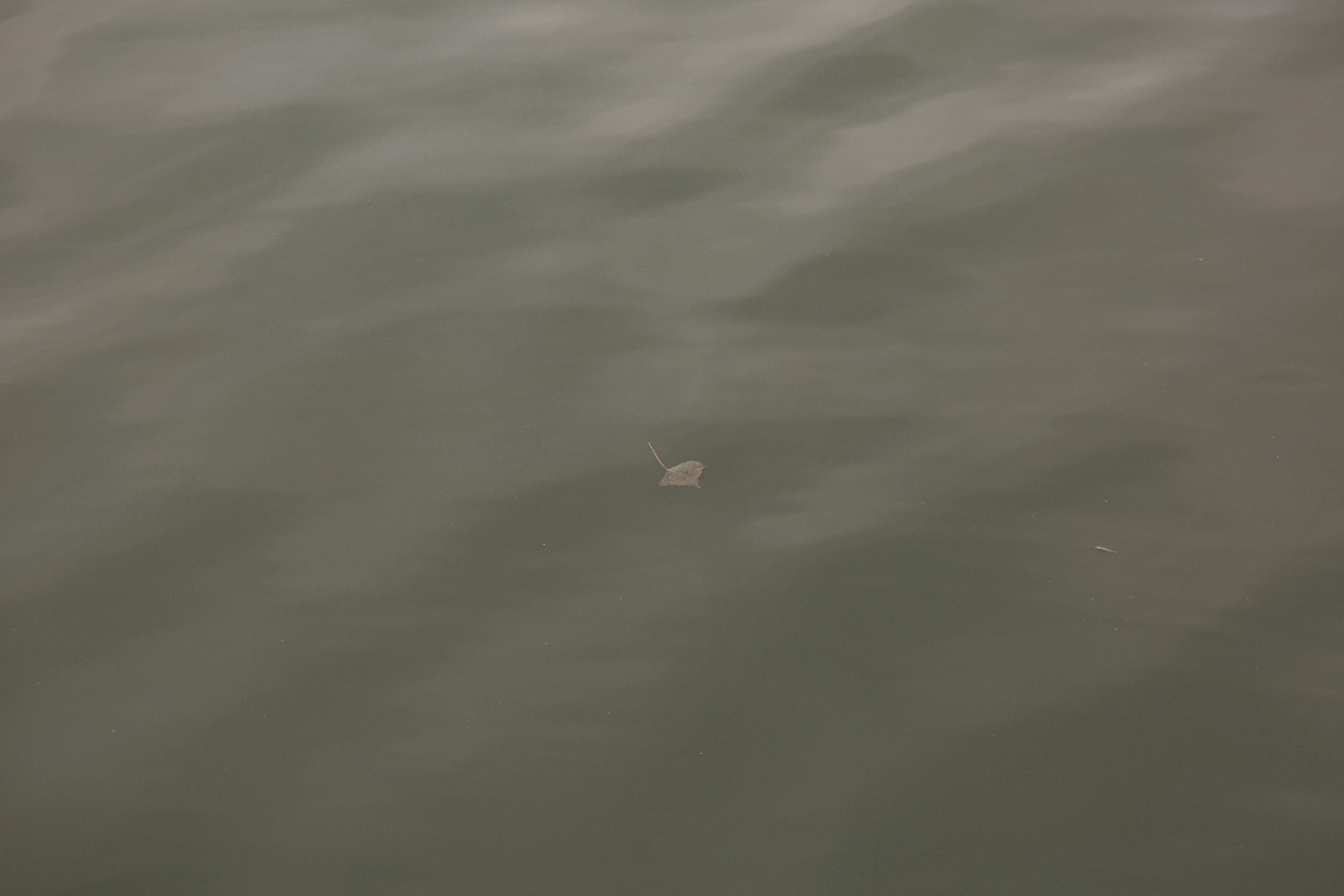 photo-1761135174385-26cad00411ec?ixid=M3wxMjA3fDB8MXxzZWFyY2h8MXx8JUQwJUJBJUQxJTgwJUQwJUIwJUQwJUJBJUQwJUI1JUQwJUJEJTIwJUQxJTgxJUQxJTgxJUQxJThCJUQwJUJCJUQwJUJBJUQwJUIwJTIwa3JhYnxlbnwwfHx8fDE3NzI2NTAyOTl8MA\u0026ixlib=rb-4.1.0