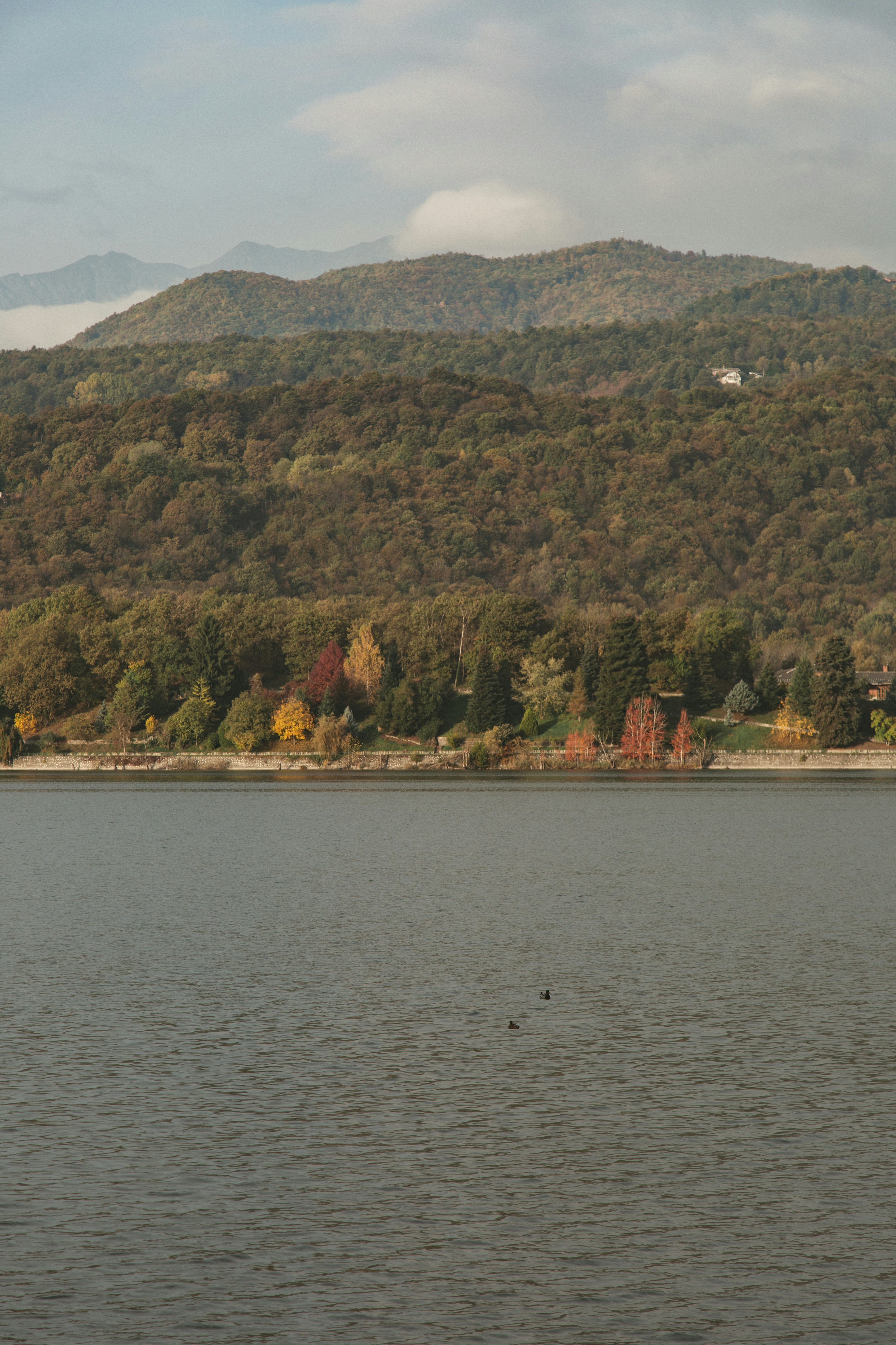 Photo by i_am_simoesse